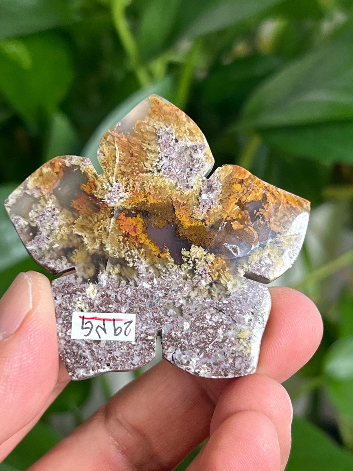 Scenic Moss Agate Flower NG