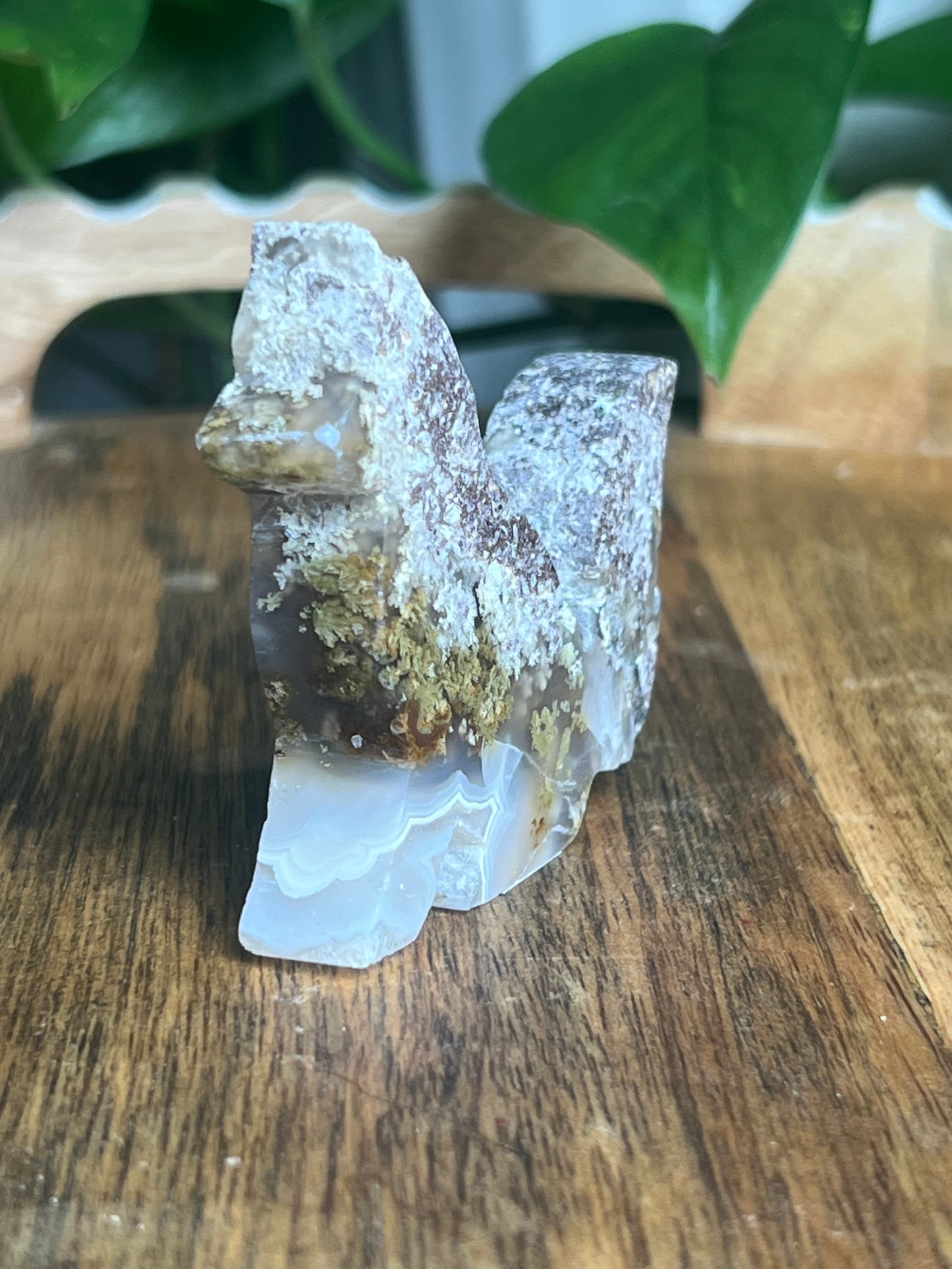 Scenic Moss Agate Fox S