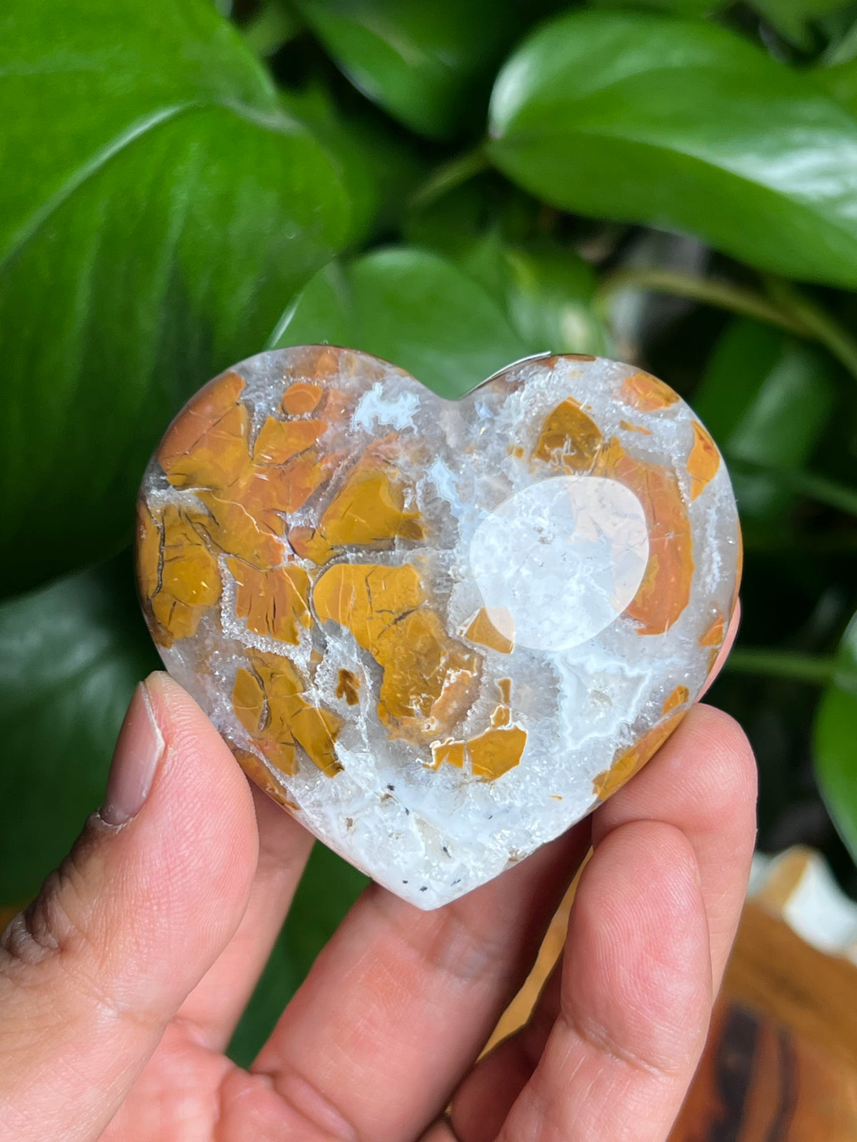 Brecciated Jasper Hearts
