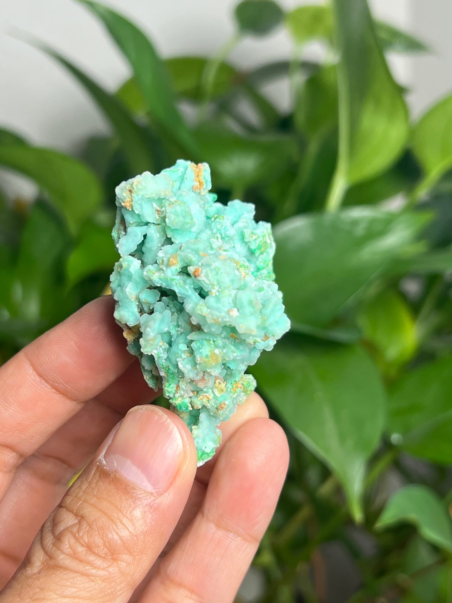 Smithsonite Specimen HX