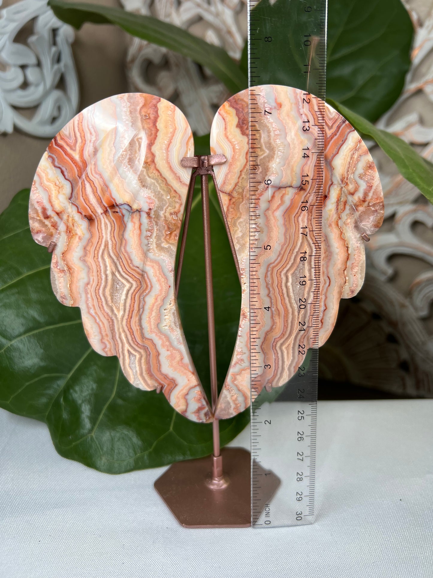 Crazy Lace Agate Wings