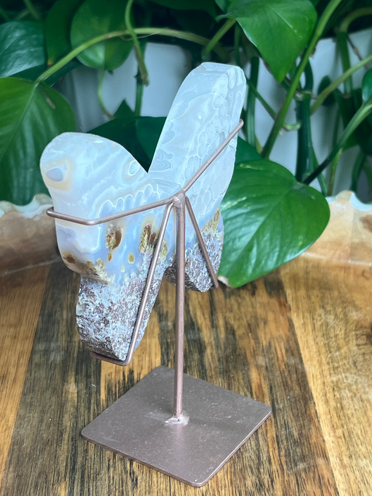Scenic Moss Agate Butterfly: W
