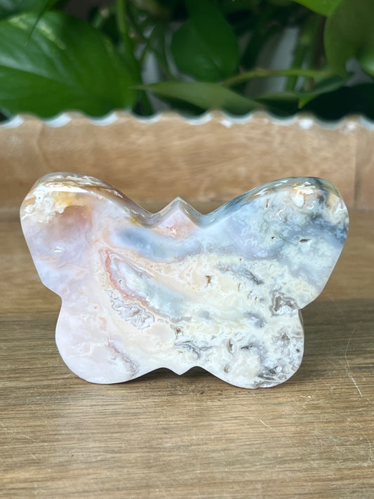 Rainbow Plume Agate Butterfly