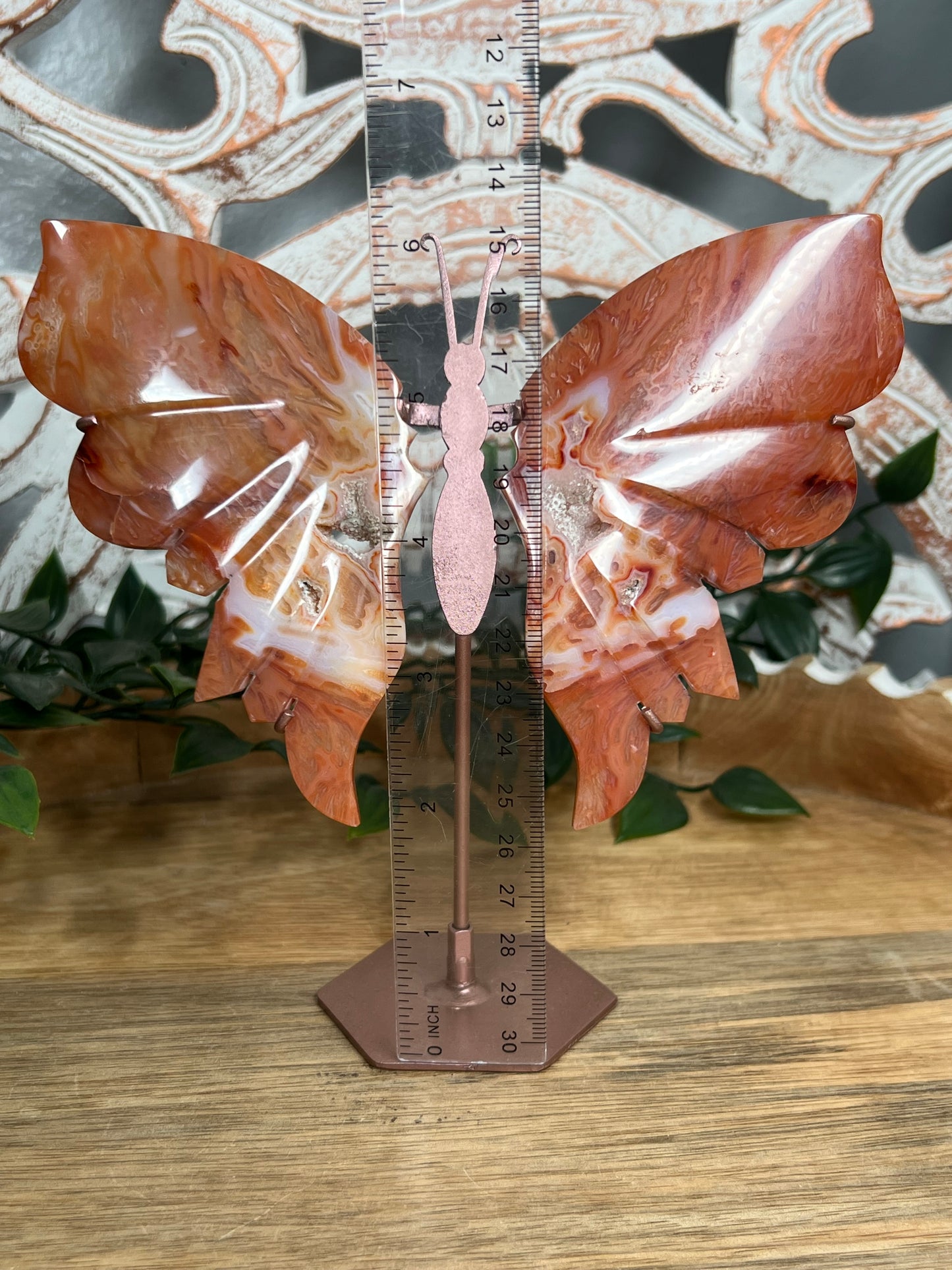Carnelian Wings