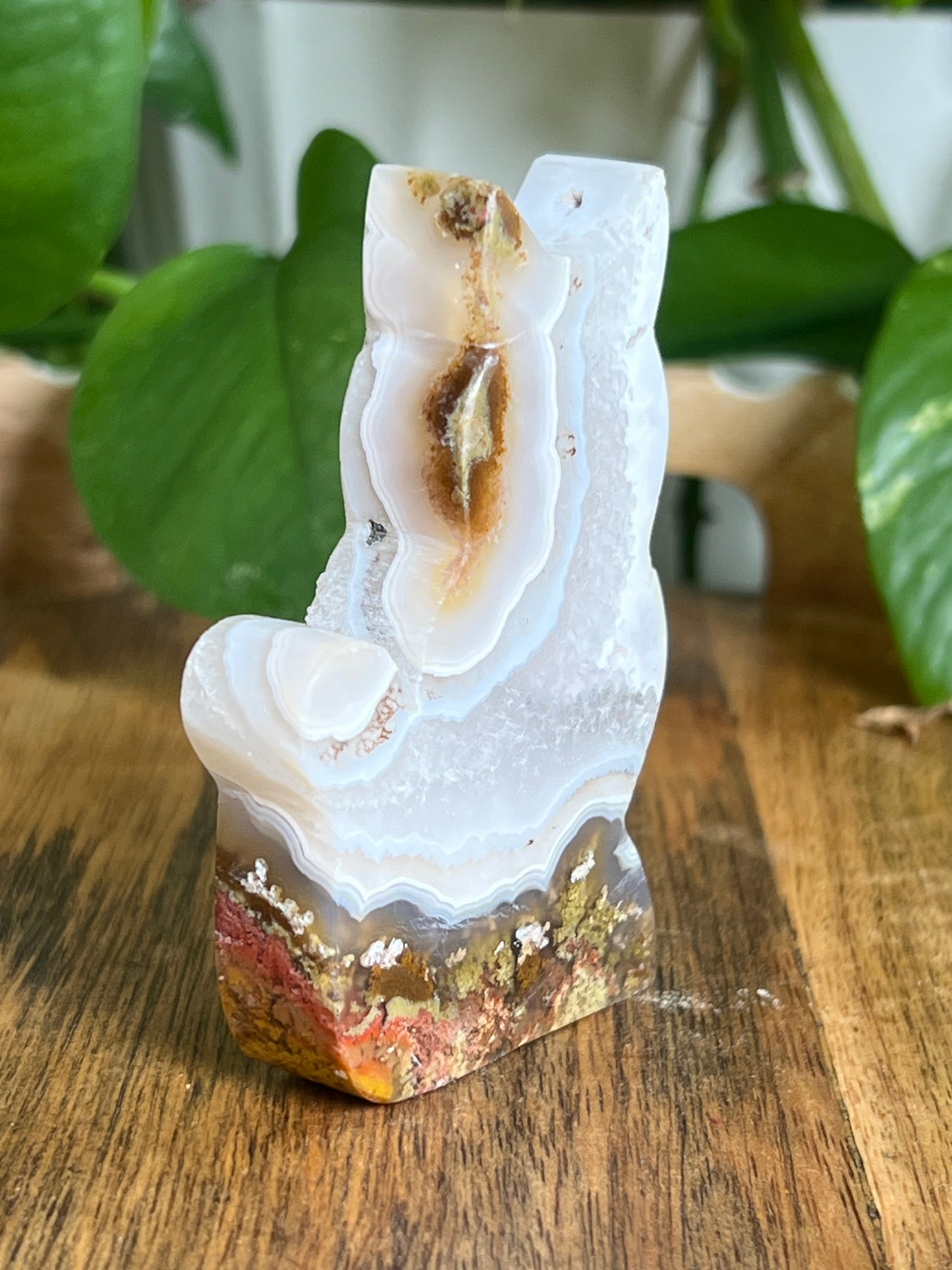 Scenic Moss Agate Cat HU