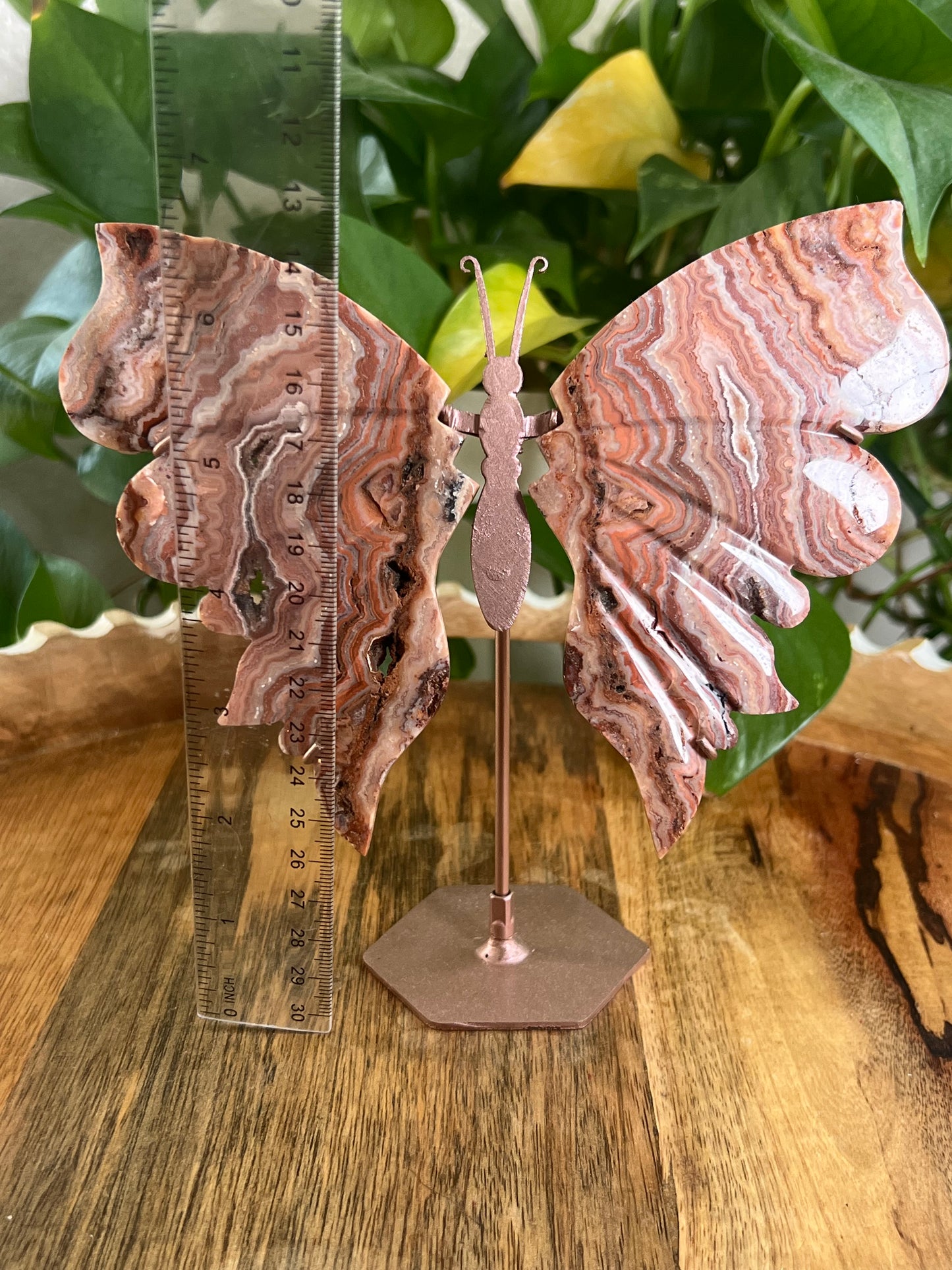Pink Crazy Lace Agate Wings BF