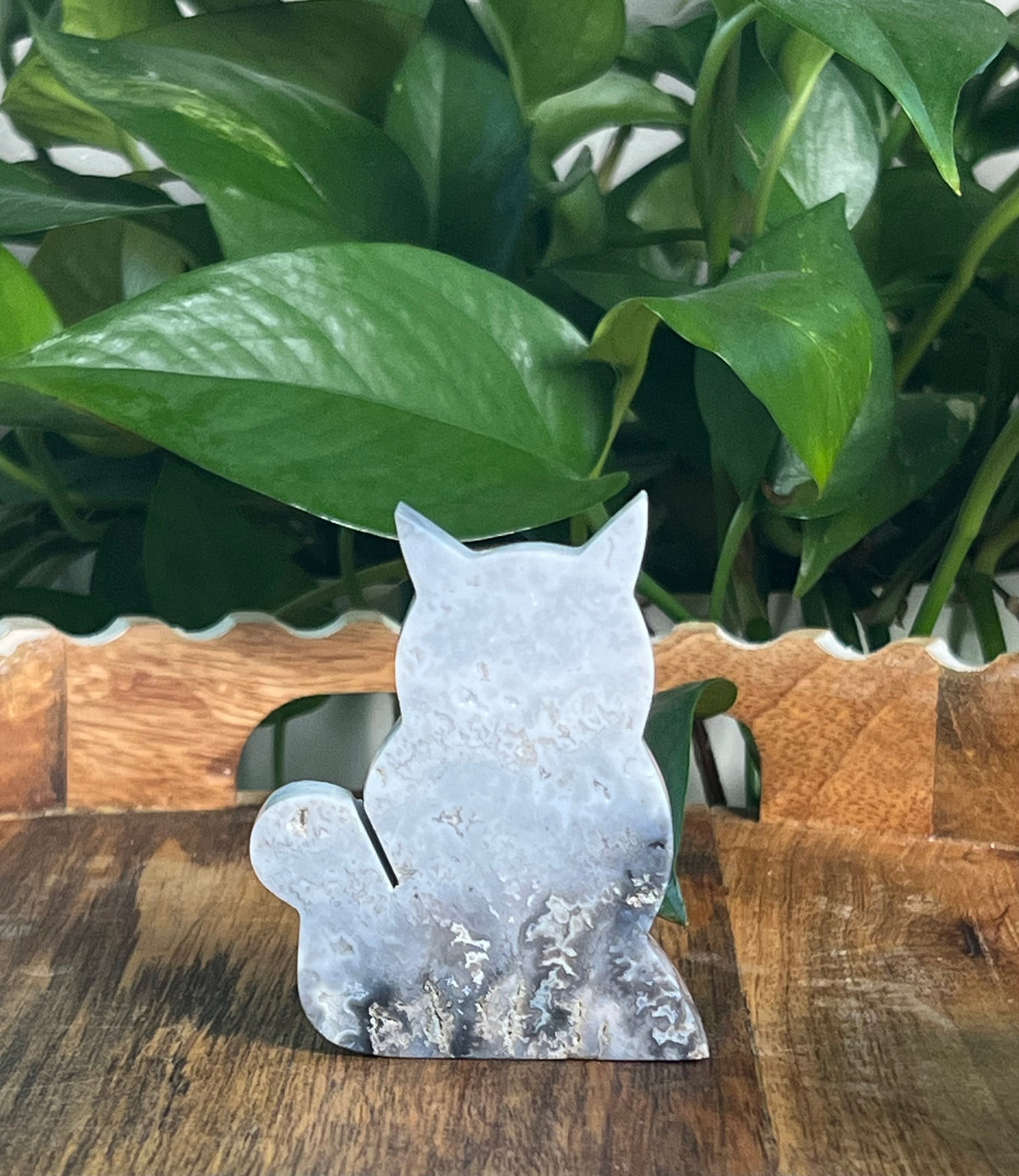 Blue Plume Agate Cats
