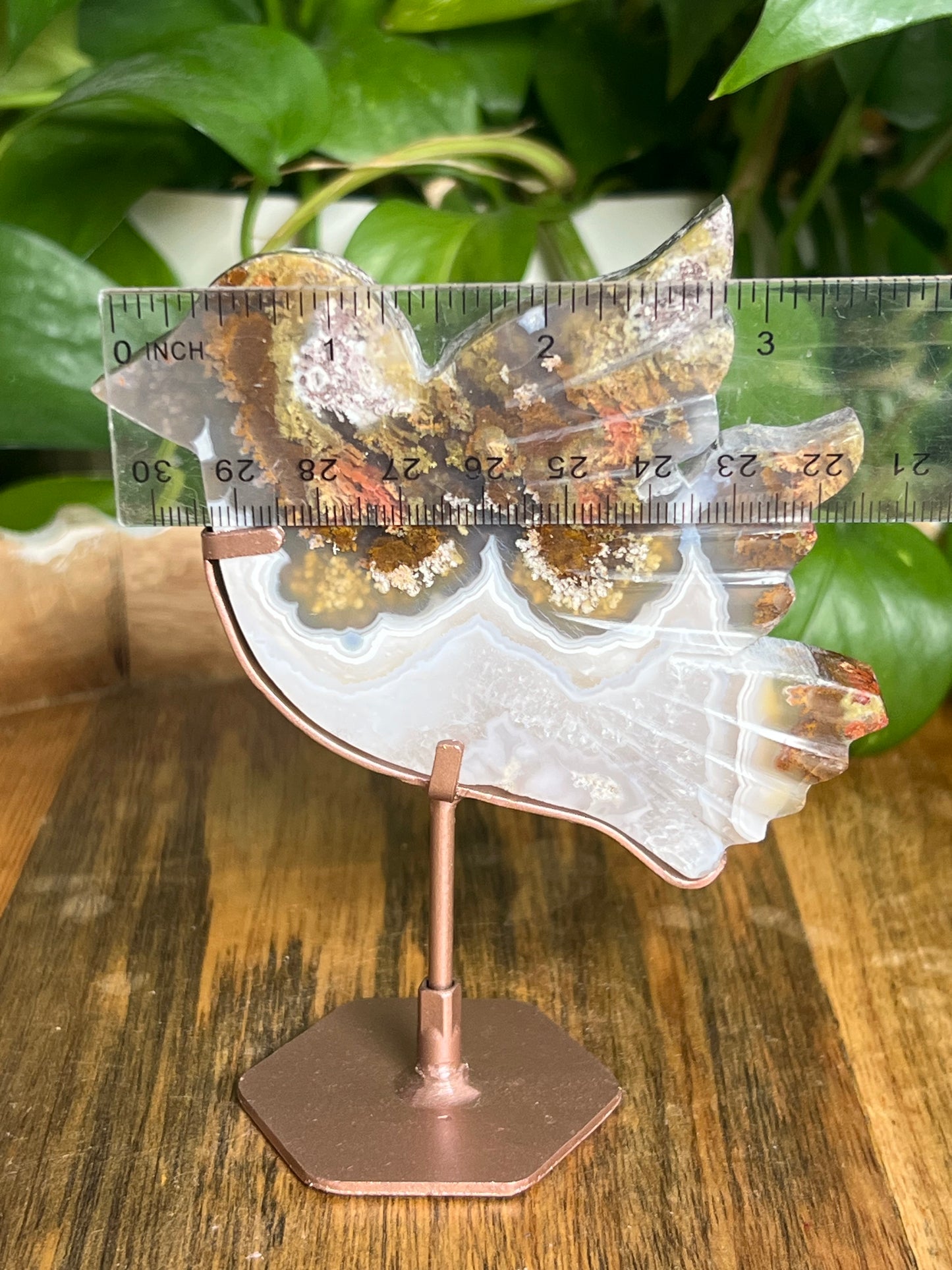 Scenic Moss Agate Bird