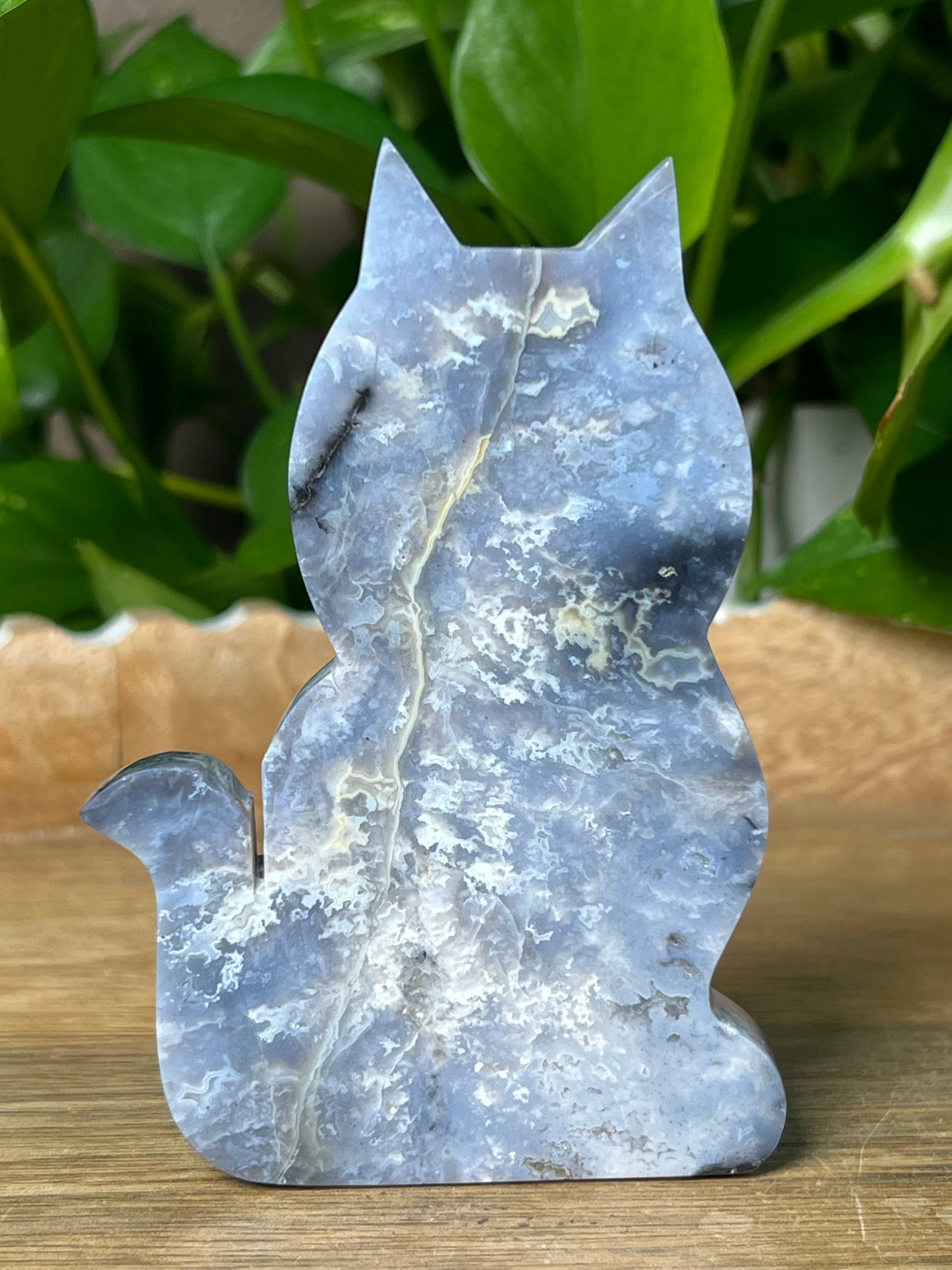 Blue Plume Agate Cat