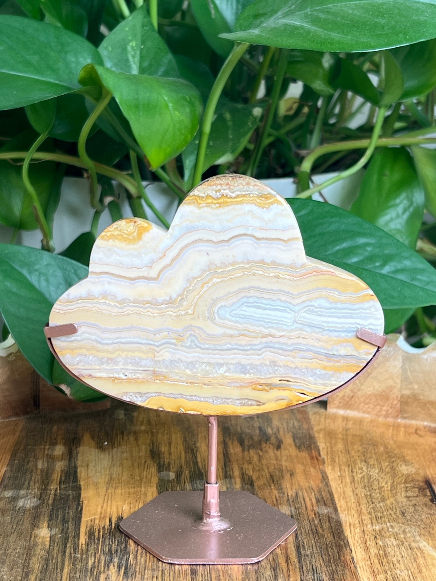 Yellow Crazy Lace Agate Cloud: NB
