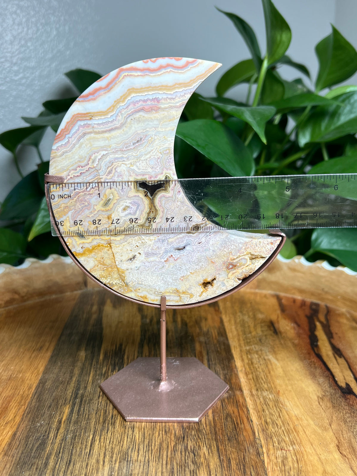 Crazy Lace Agate Large Moon: YP