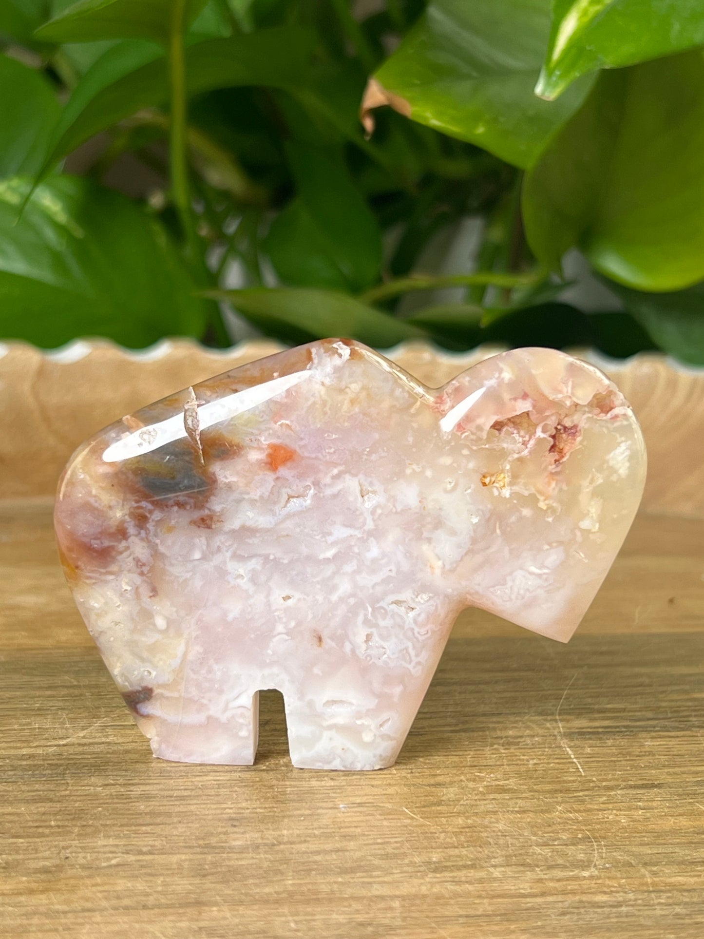 Rainbow Plume Agate Buffalo
