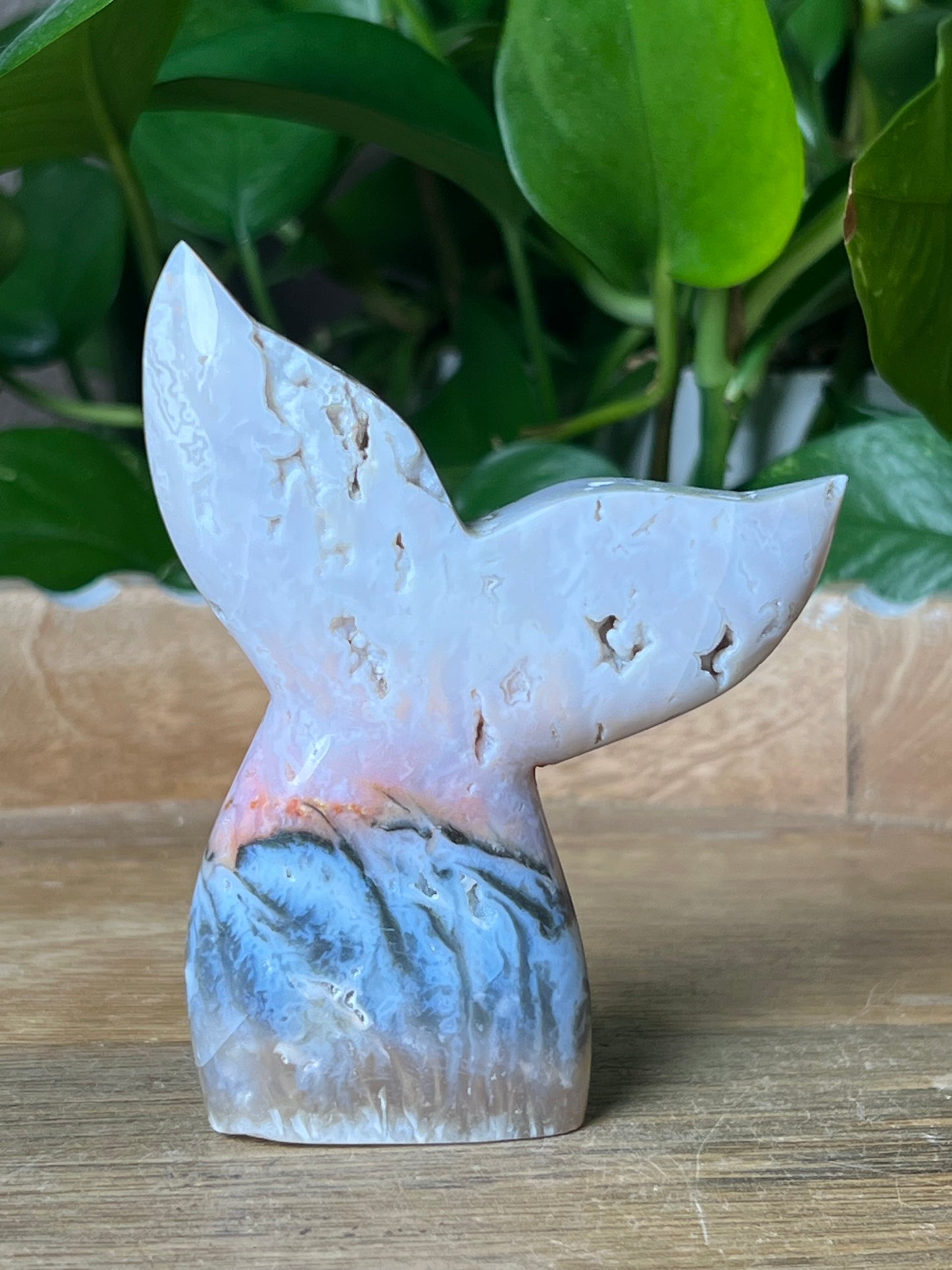 Rainbow Plume Agate Tail: RB