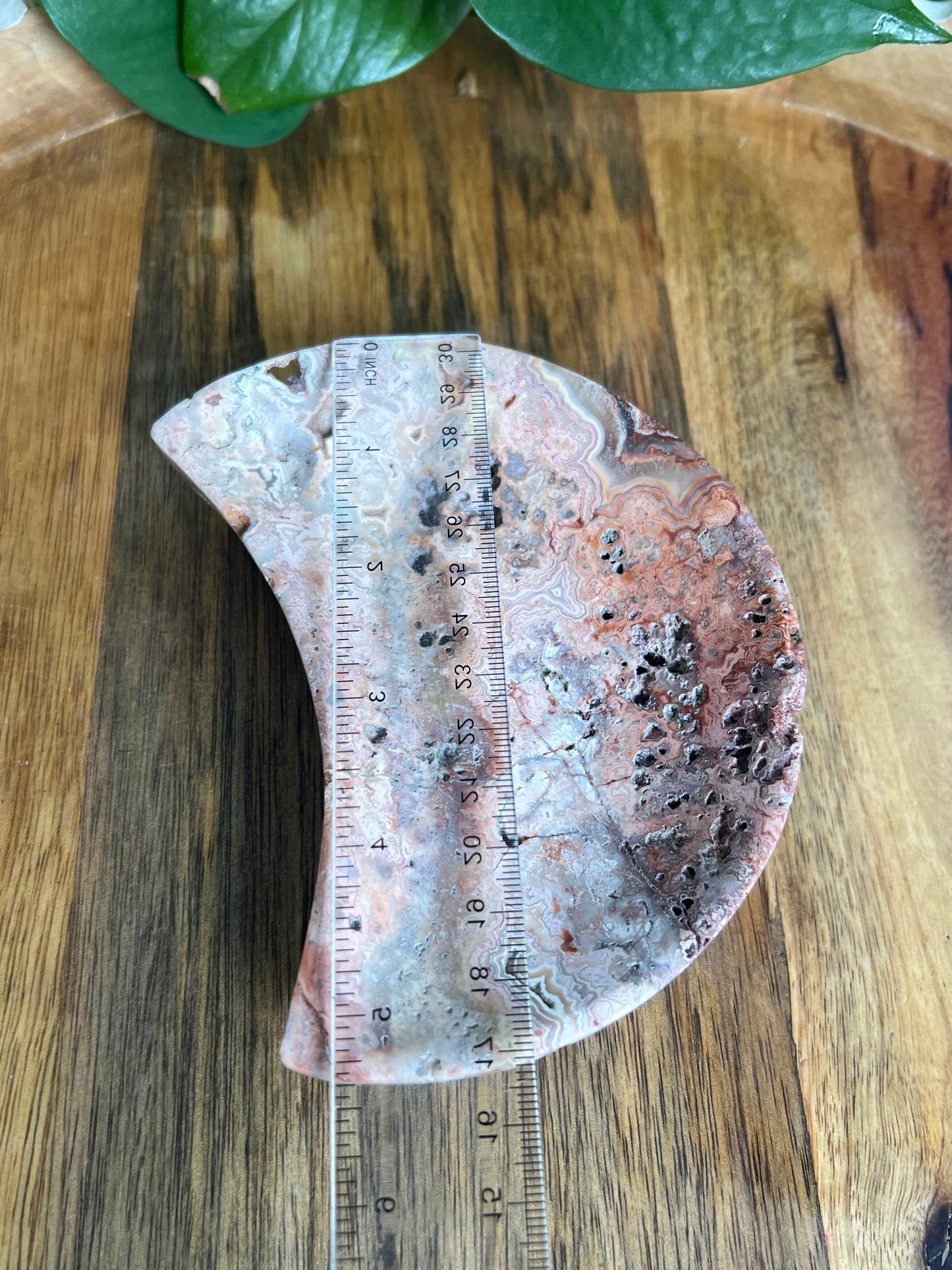Crazy Lace Agate Moon Bowl: E