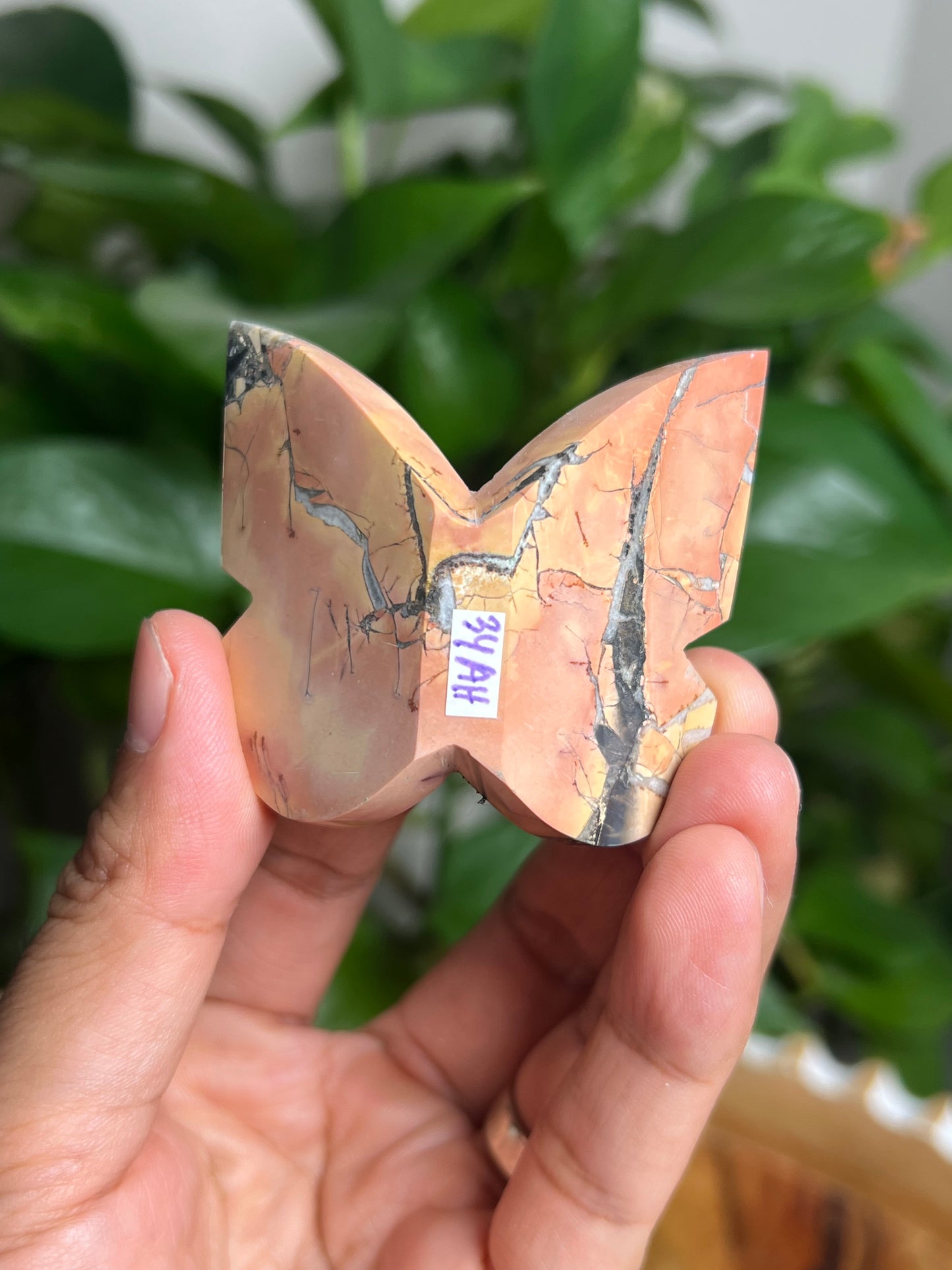 Maligano 3D Butterfly: AH