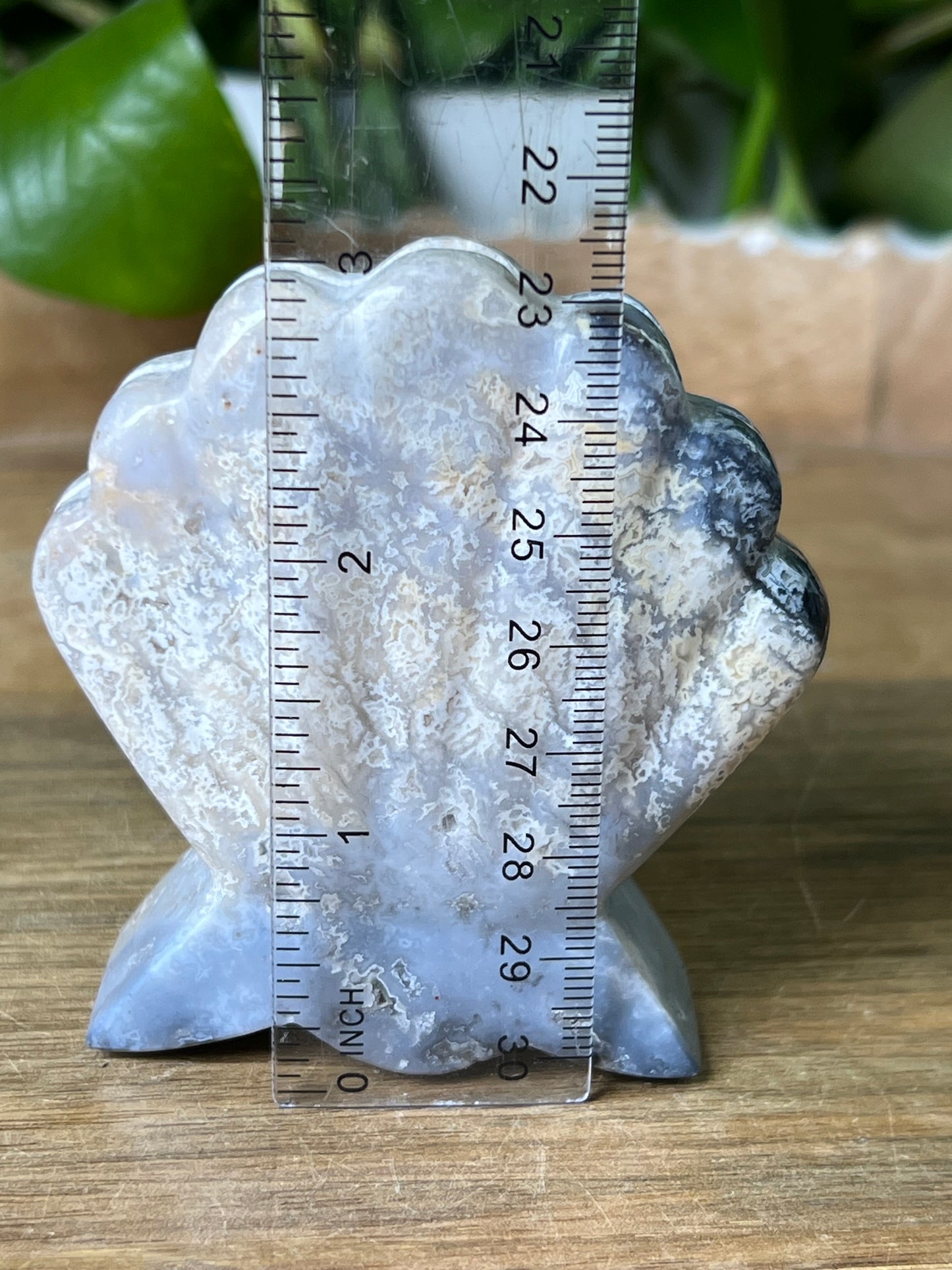 Blue Plume Agate Shell