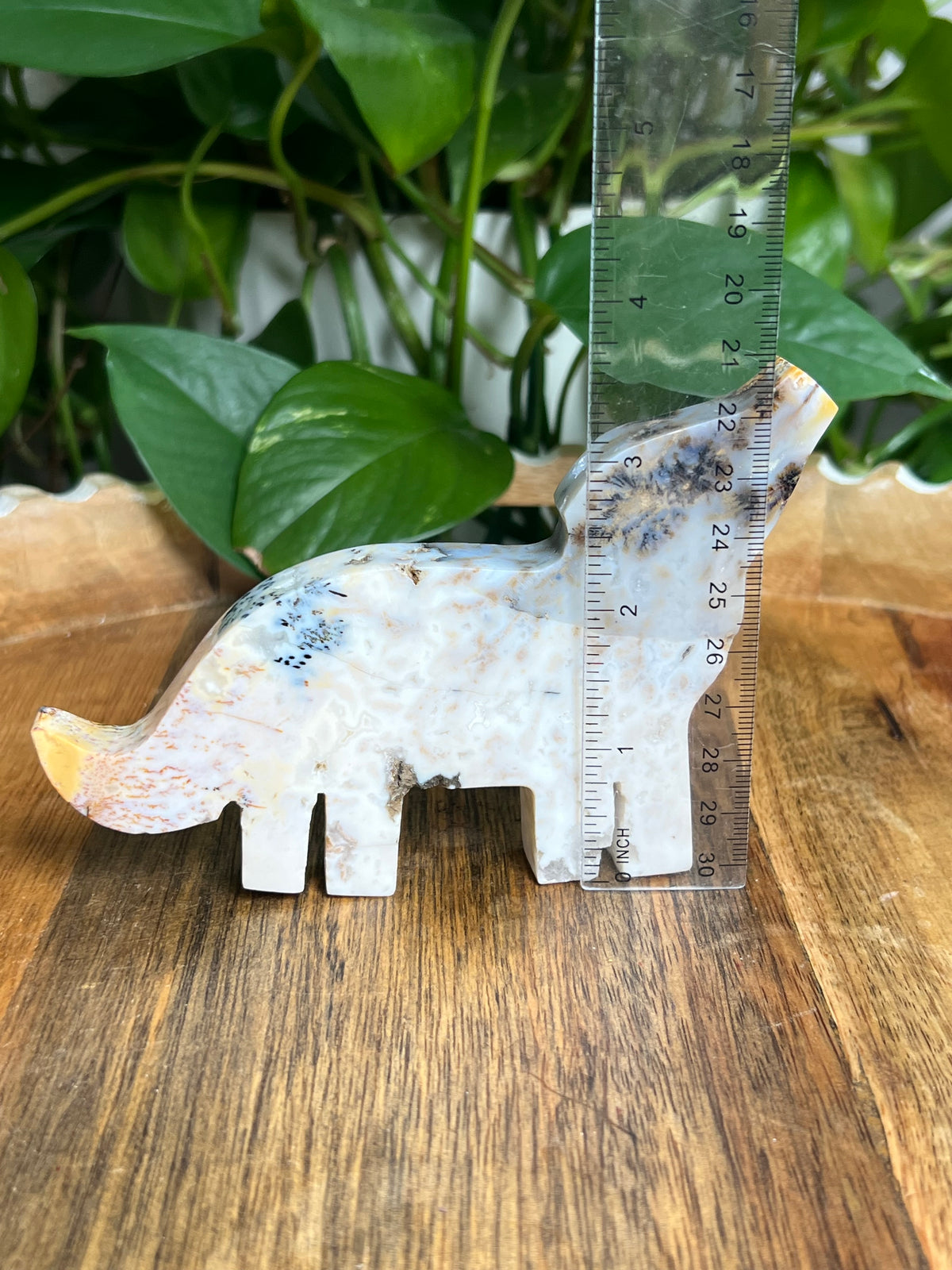 Dendritic Tiger Agate Wolf: A