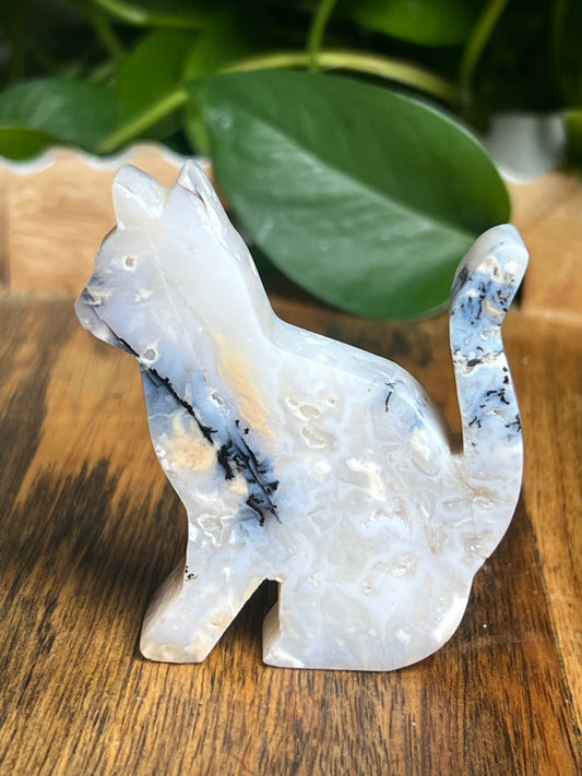 Dendritic Tiger Agate Cat: PB