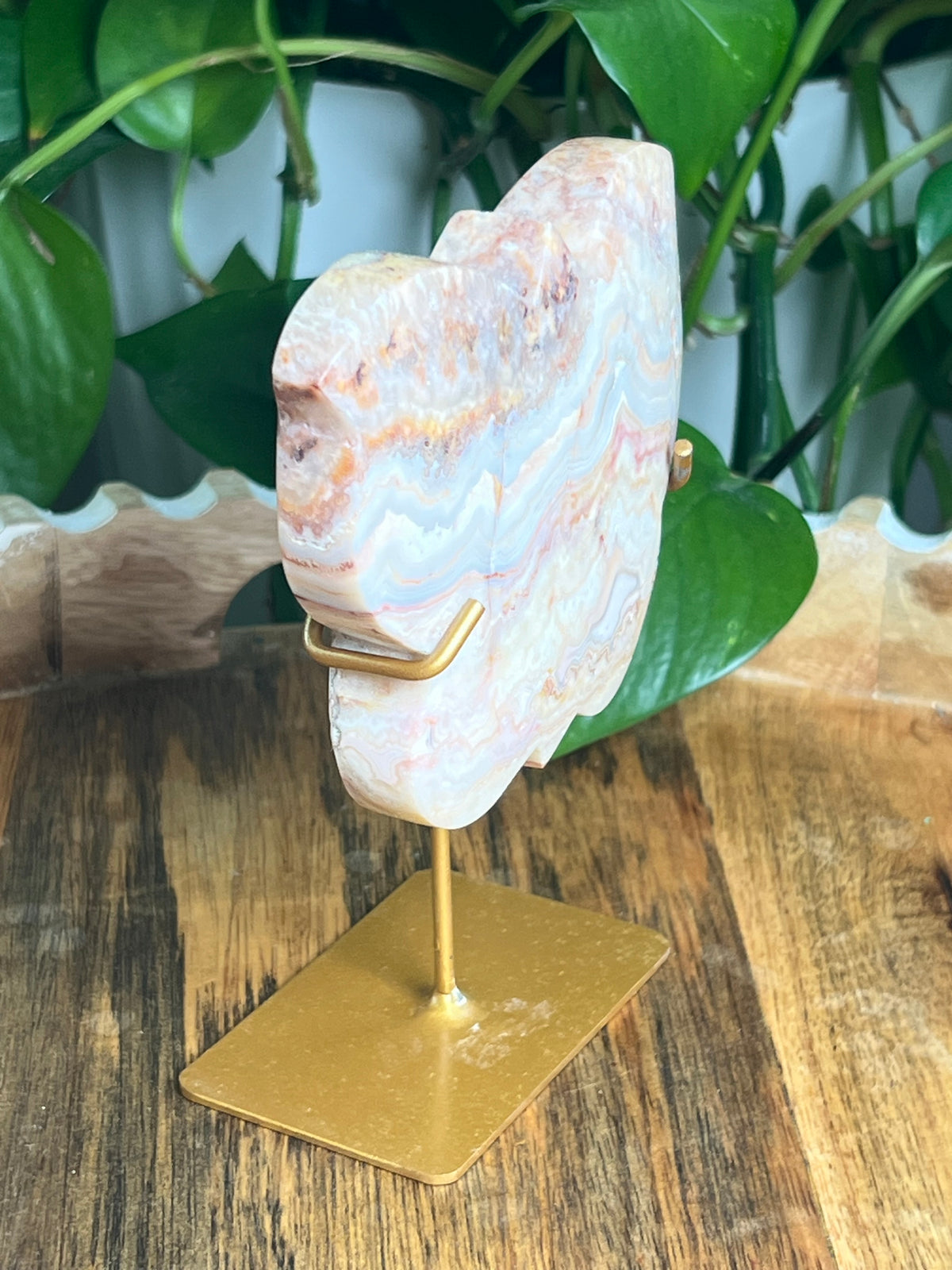 Crazy Lace Agate Butterfly: PC