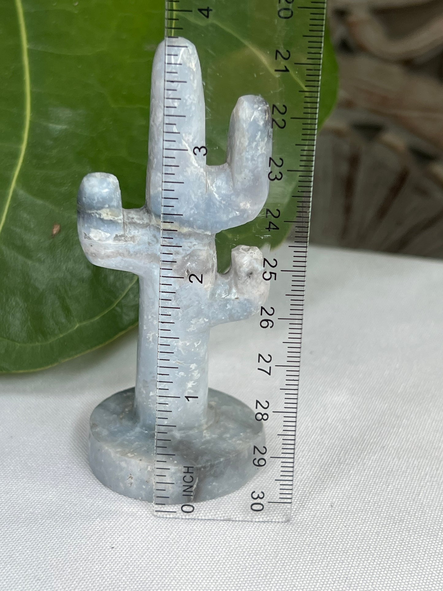 Blue Plume Agate Cactus