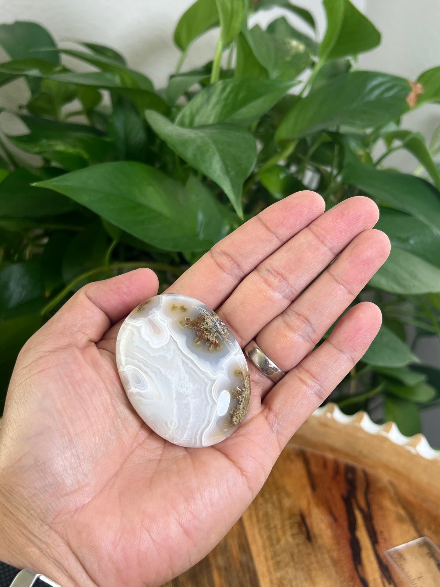 Scenic Moss Agate Palmstone: RG