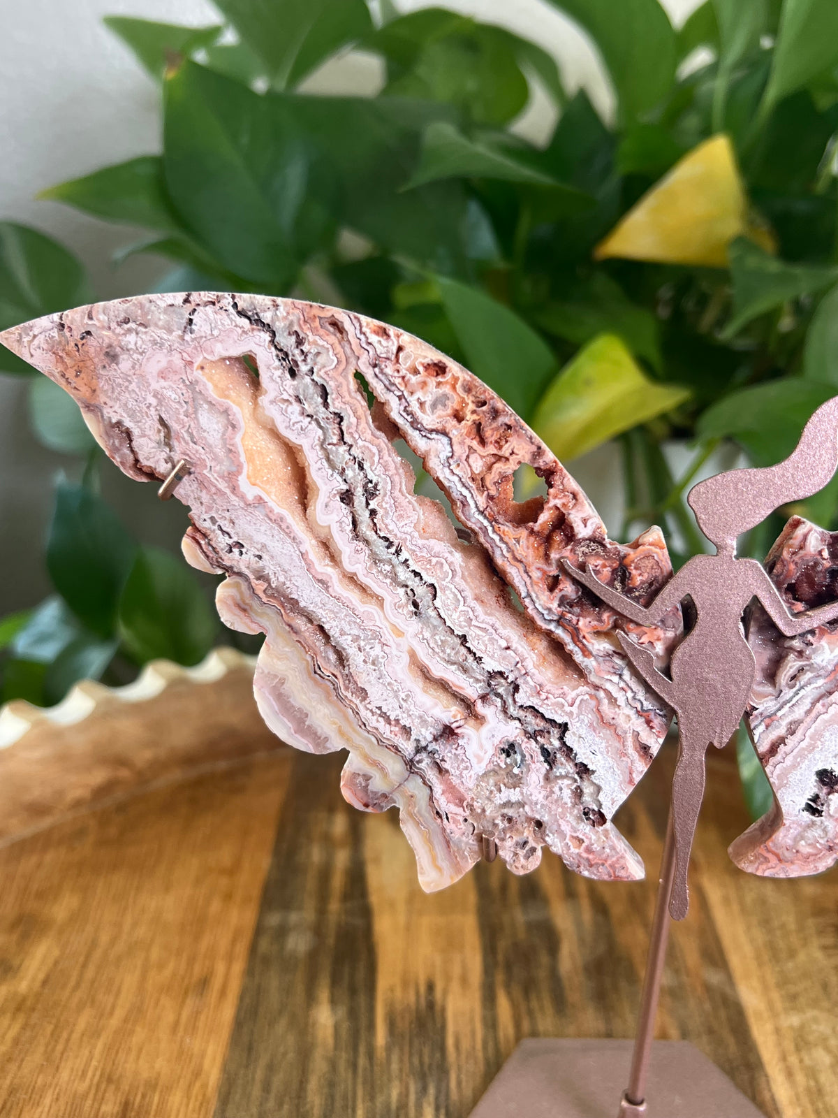 Crazy Lace Agate Wings P