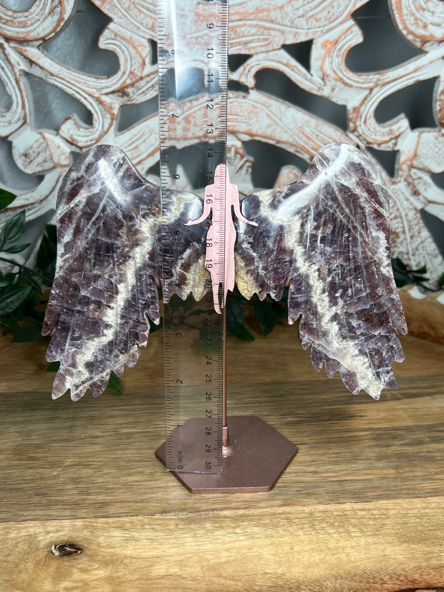 Indonesian Amethyst Wings
