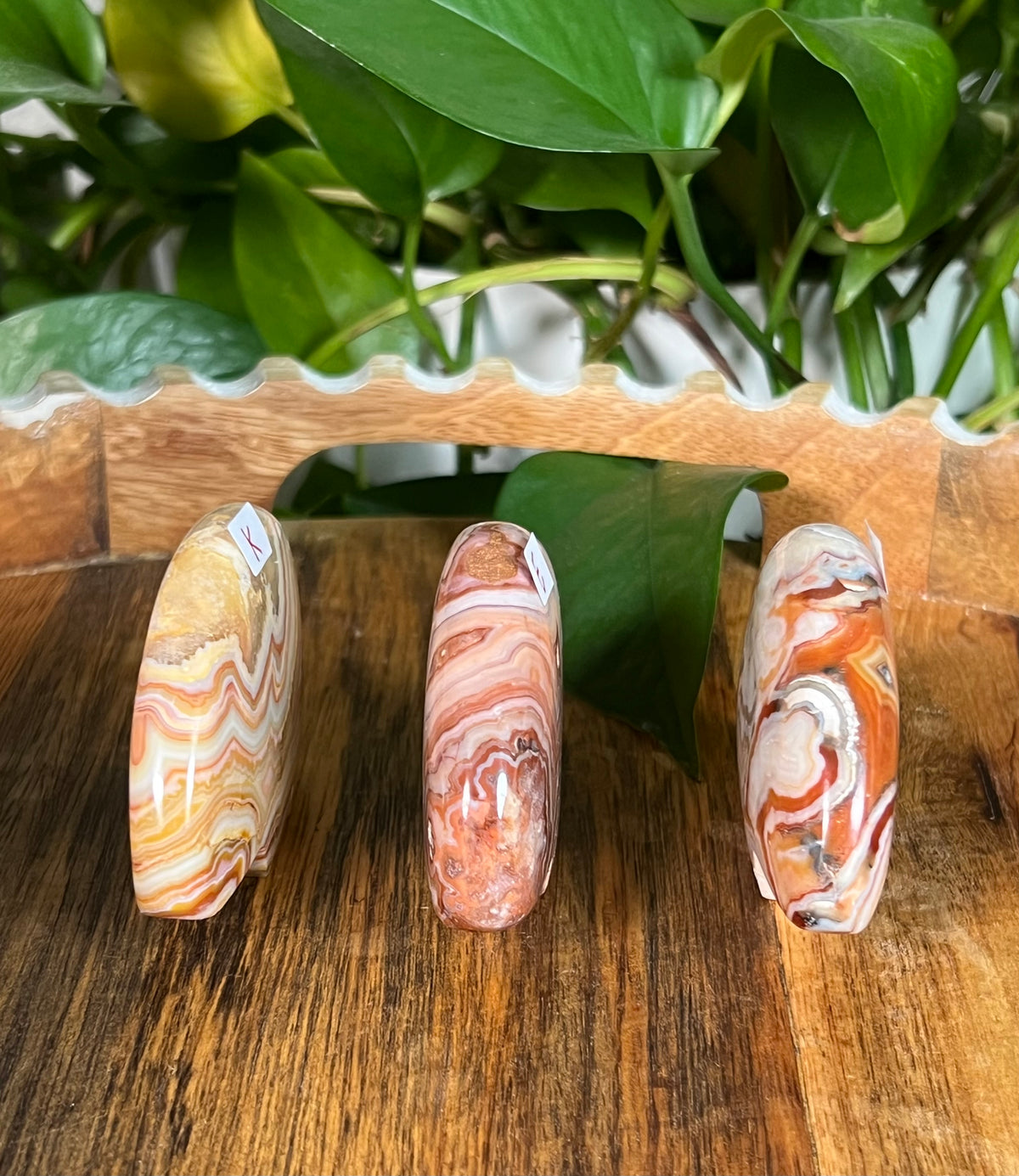 Crazy Lace Agate Bears