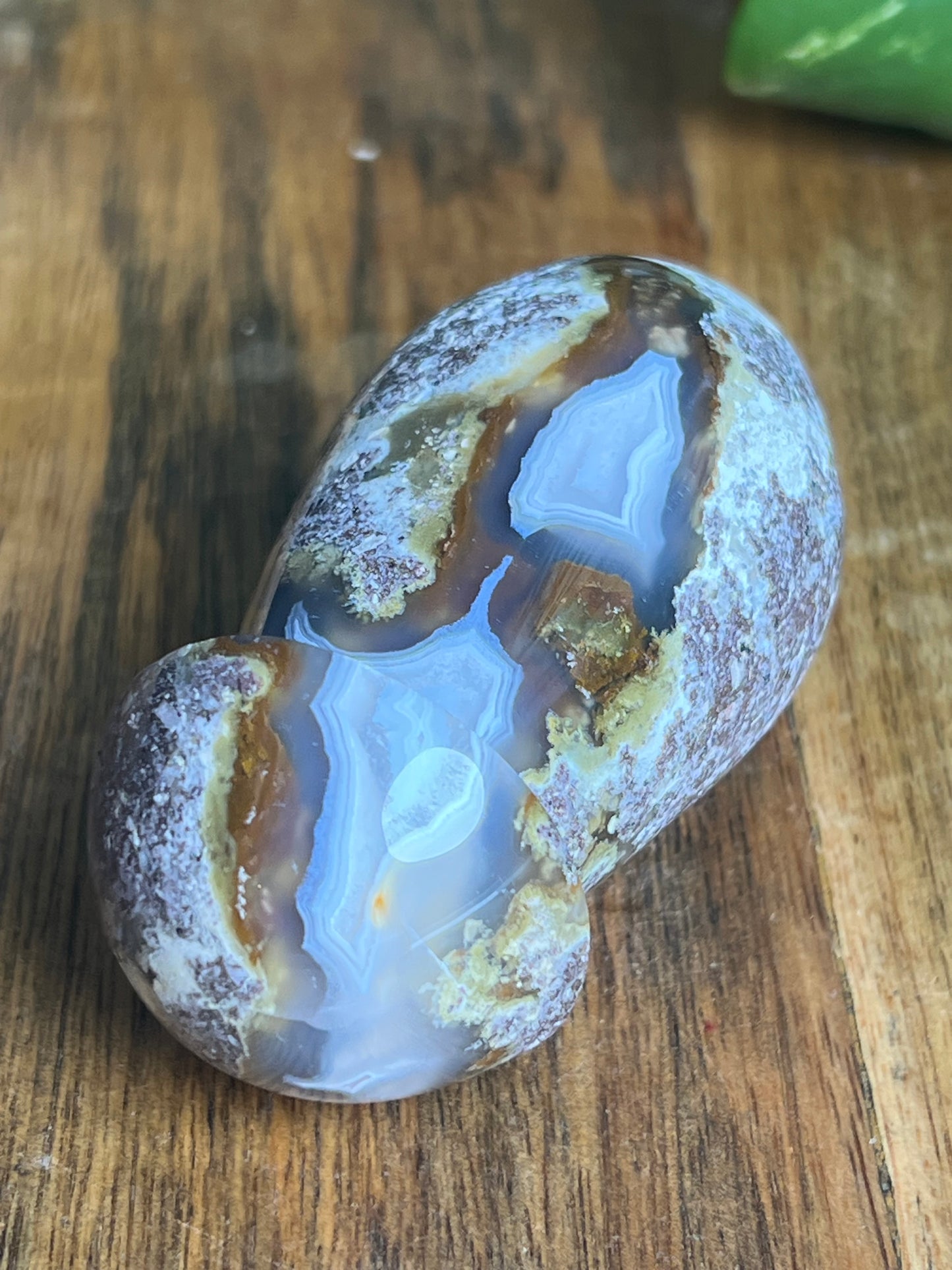 Scenic Moss Agate Mushroom