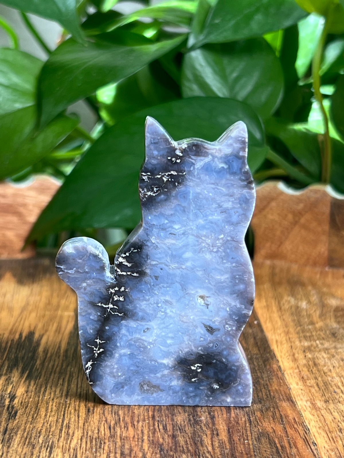 Blue Plume Agate Cat: BH