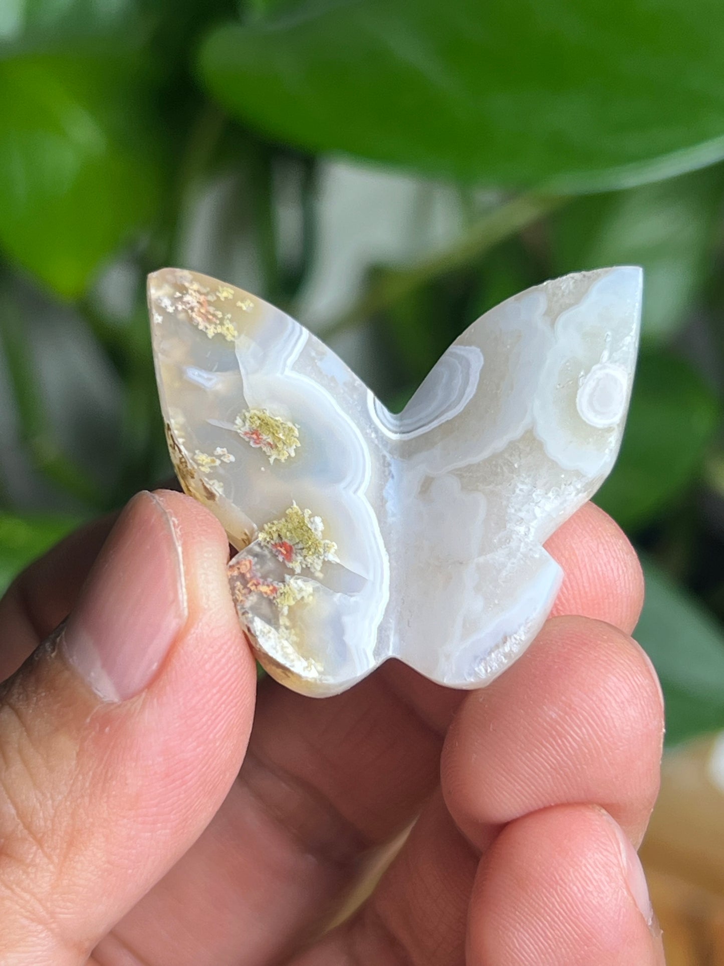 Scenic Moss Agate Mini Butterfly: E
