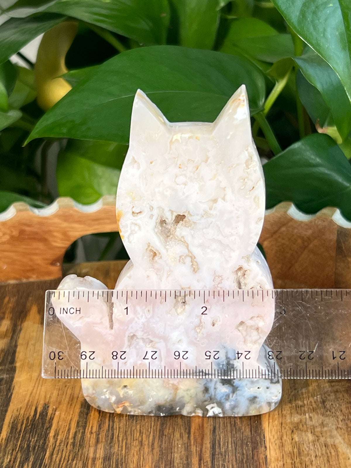 Rainbow Plume Agate Cats