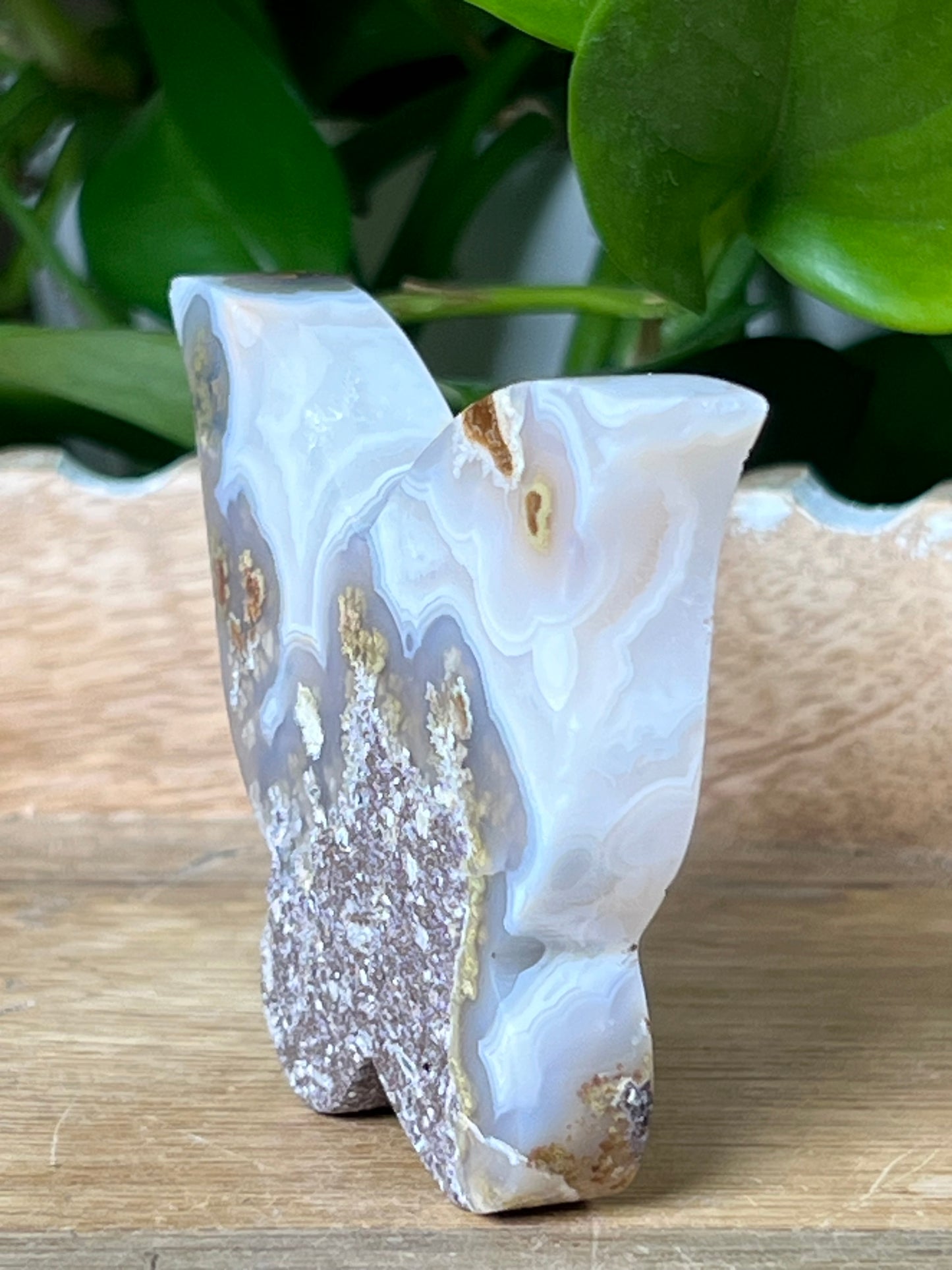 Scenic Moss Agate Butterfly