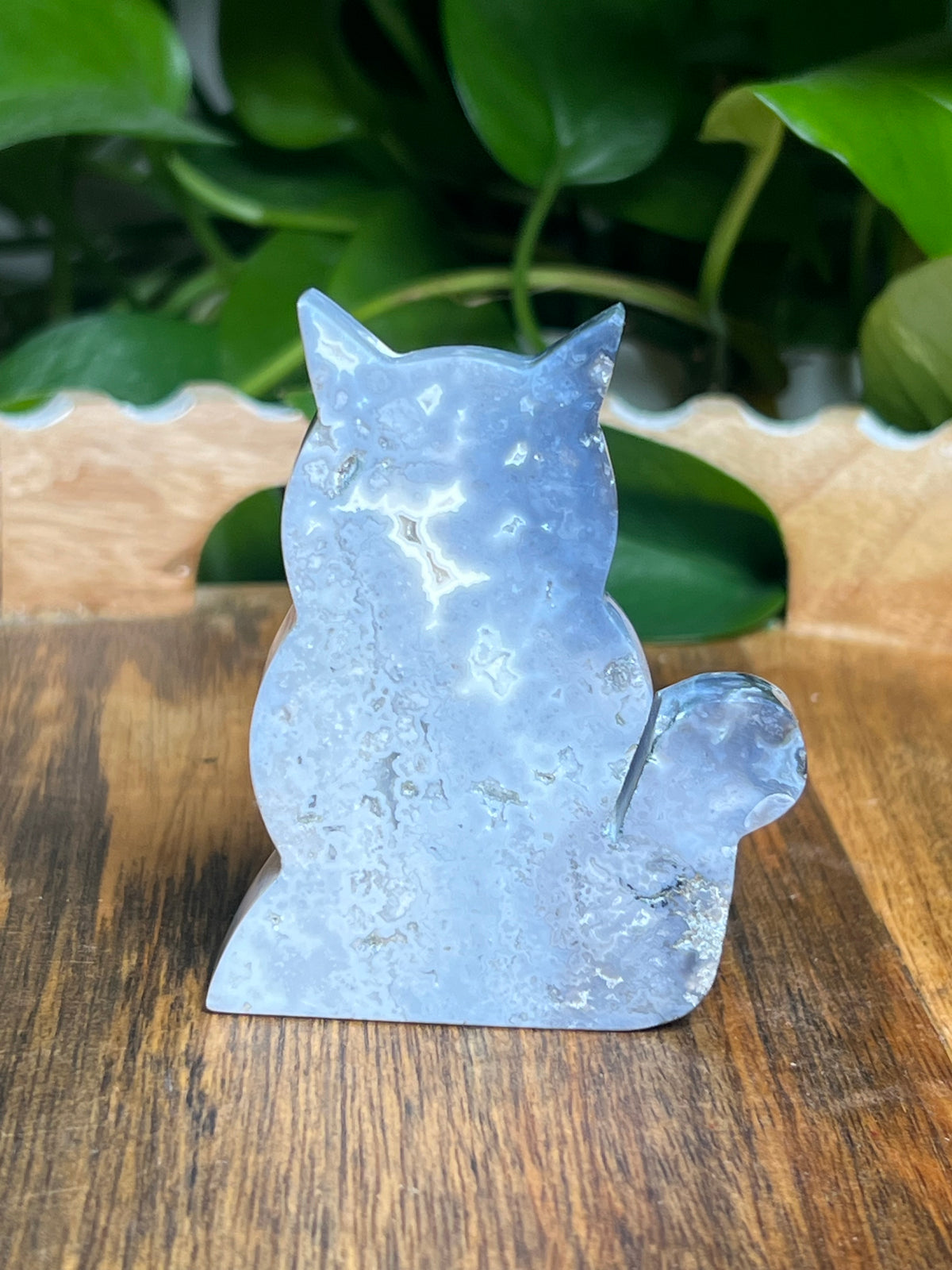 Blue Plume Agate Cat: BQ