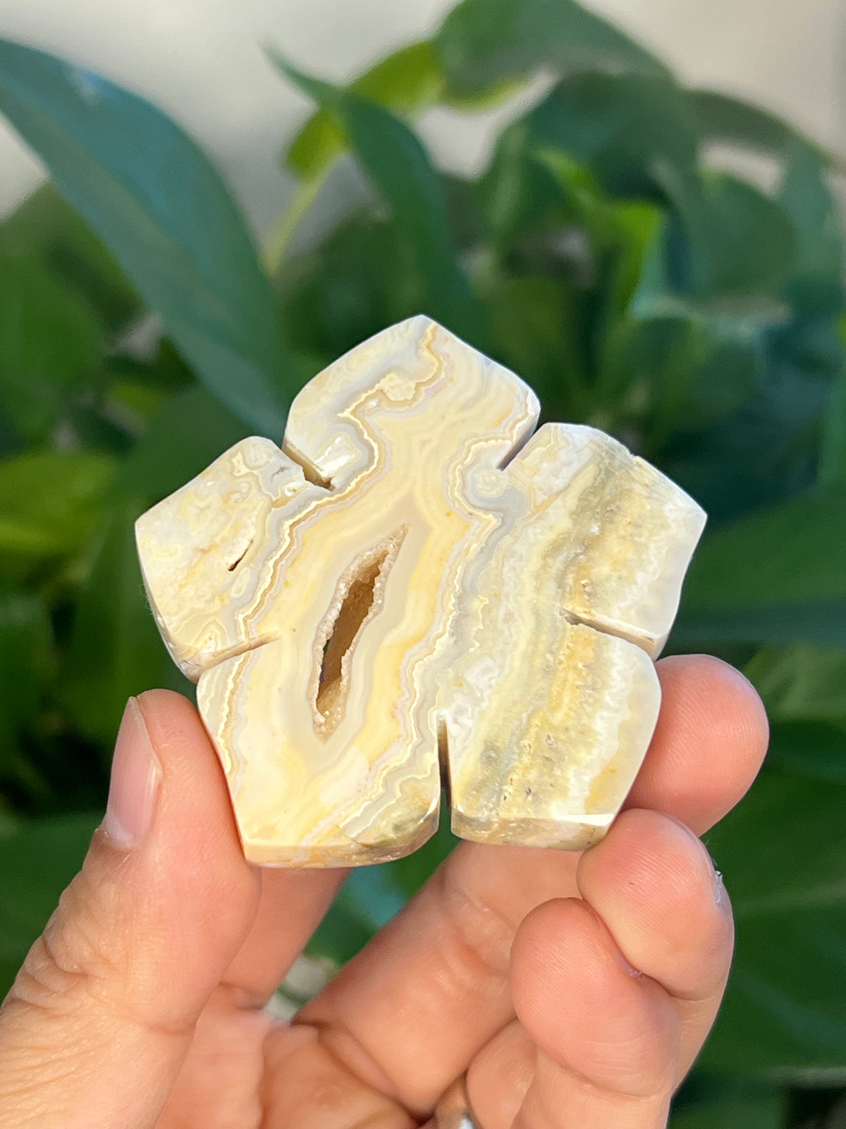 Crazy Lace Agate Flowers