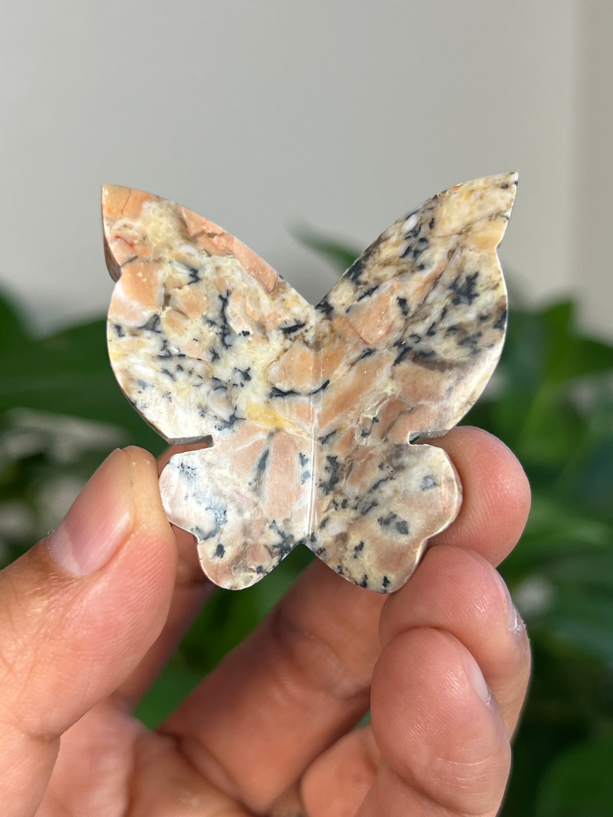 Peachy Pink Dendritic Jasper 3D Butterflies