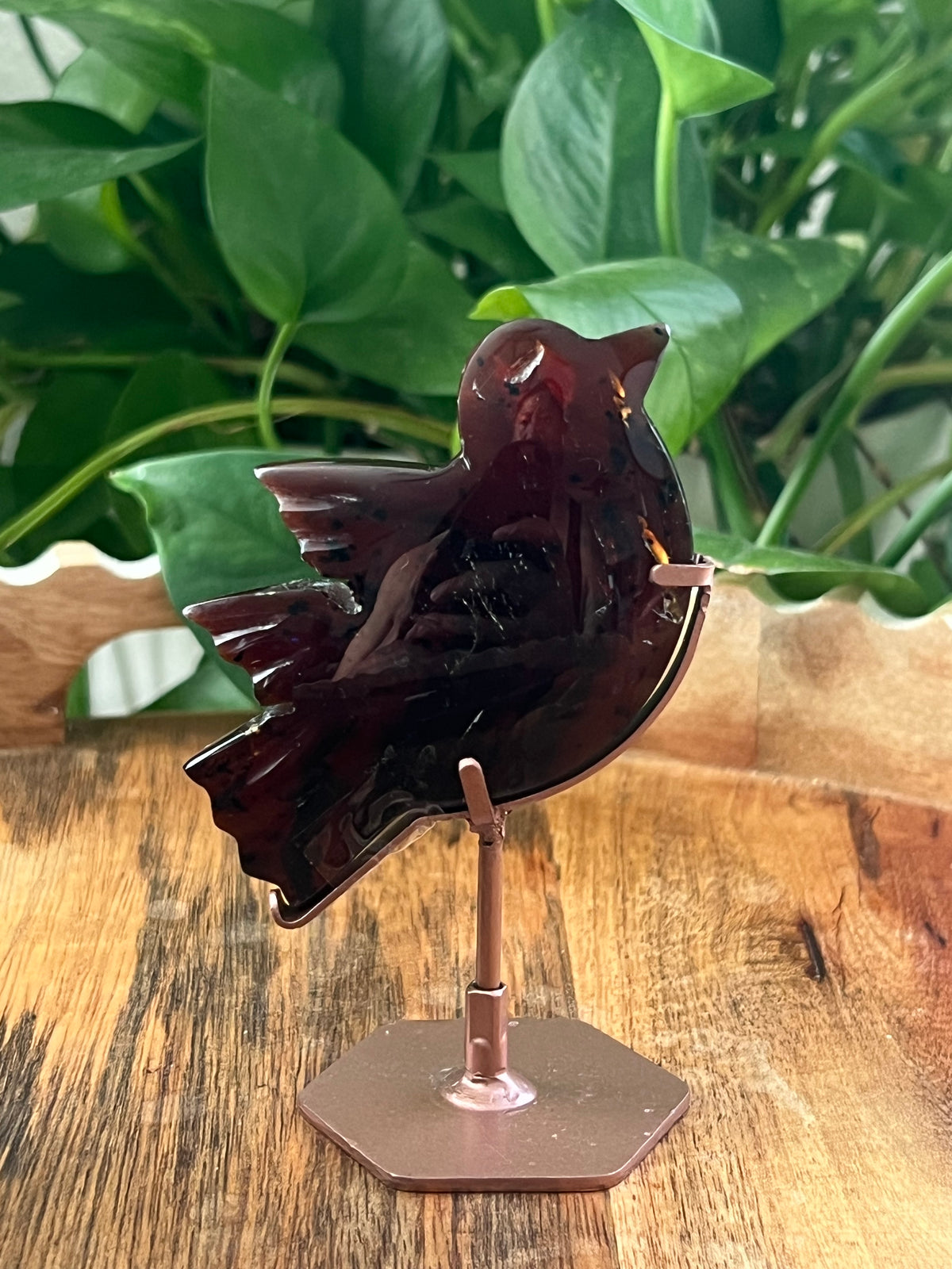 Blue Amber Bird: AA