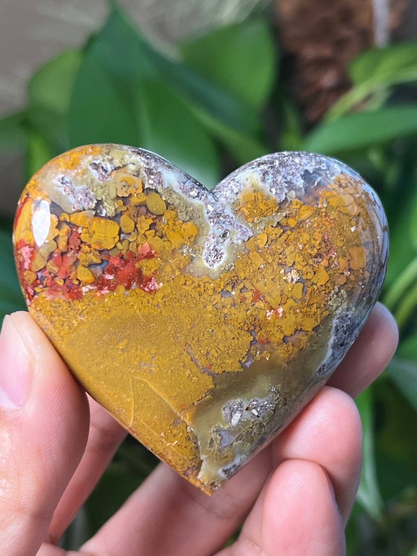 Scenic Moss Agatw Heart