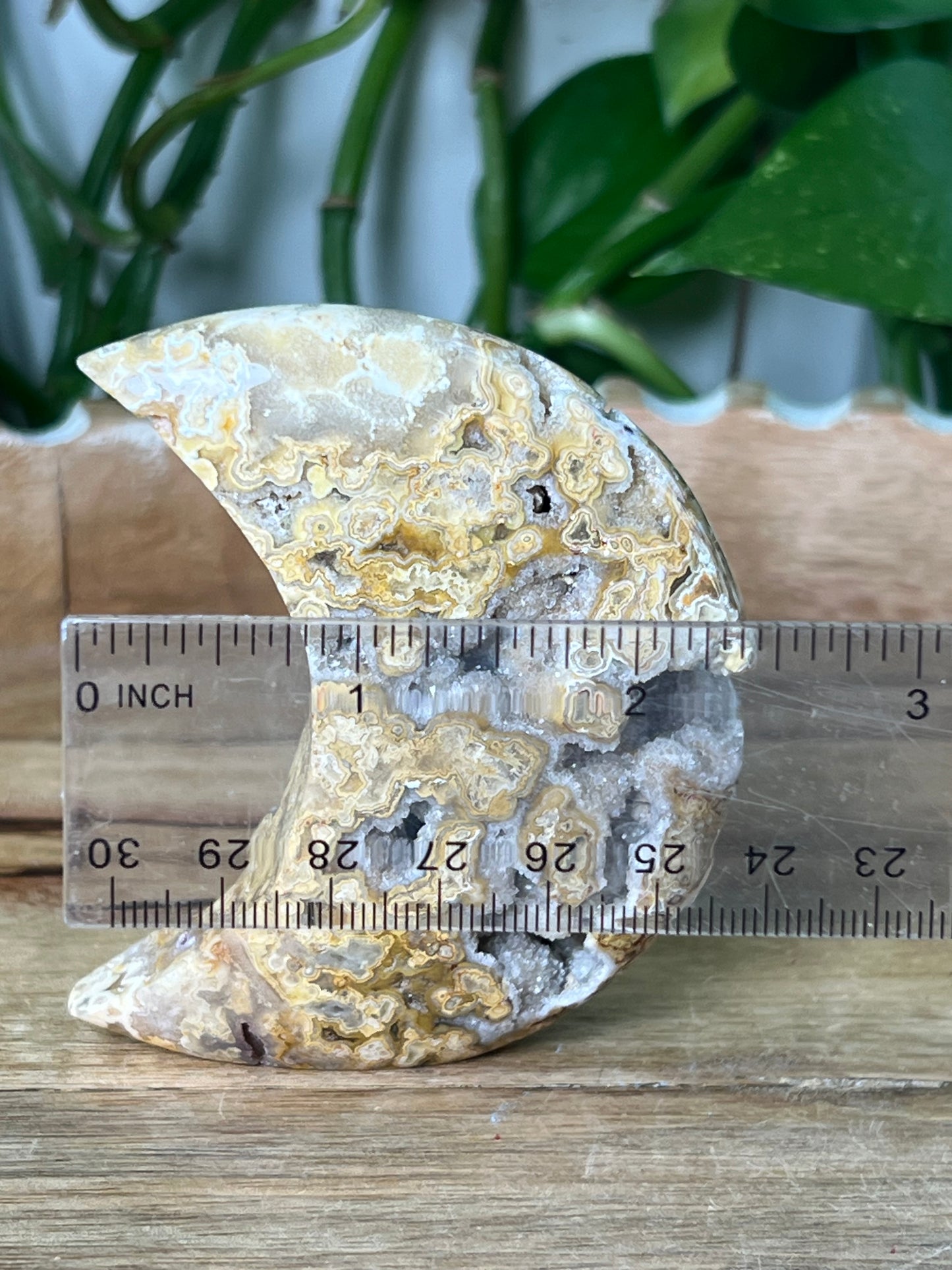 Crazy Lace Agate Moon