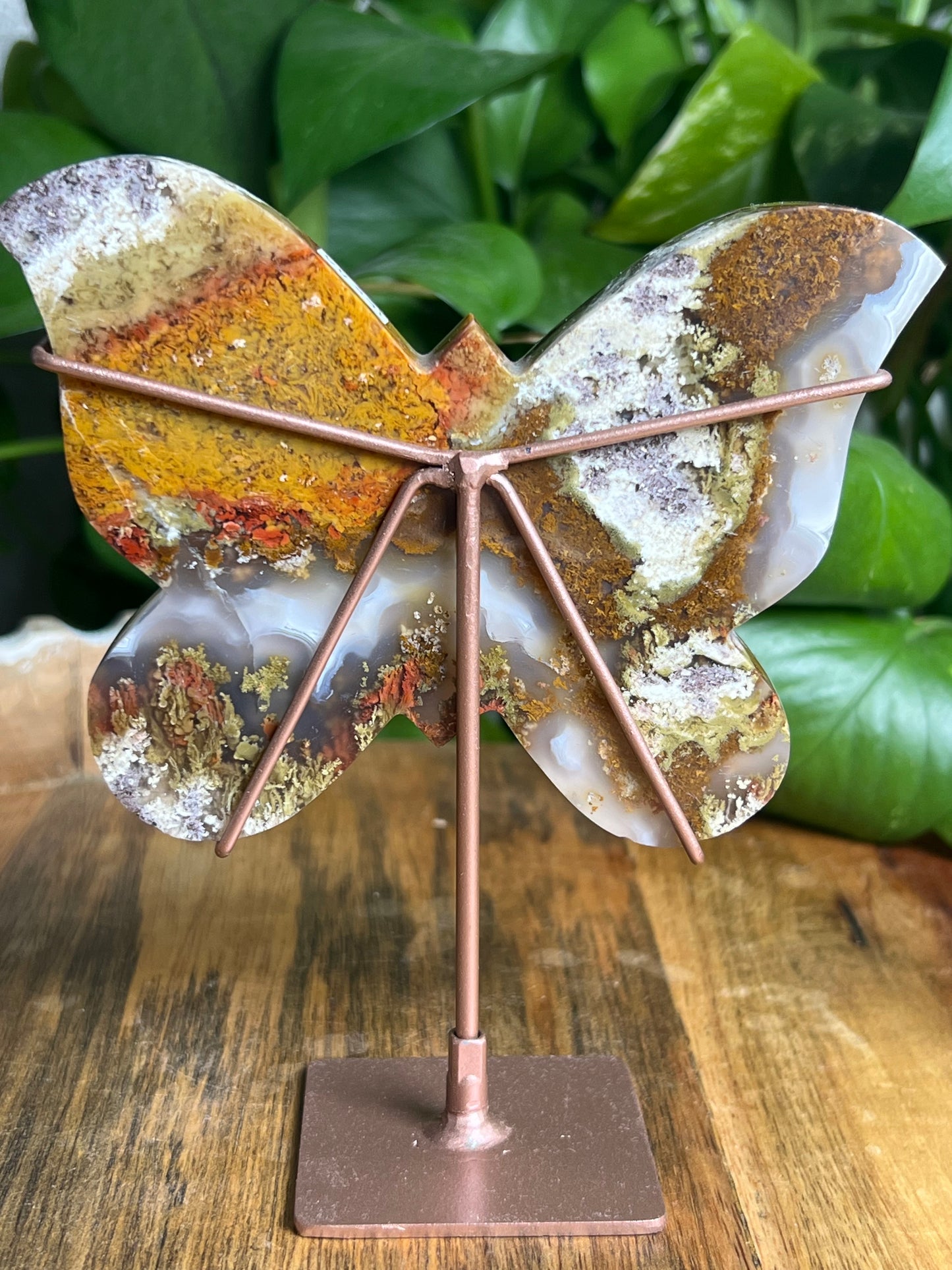 Scenic Moss Agate Butterfly