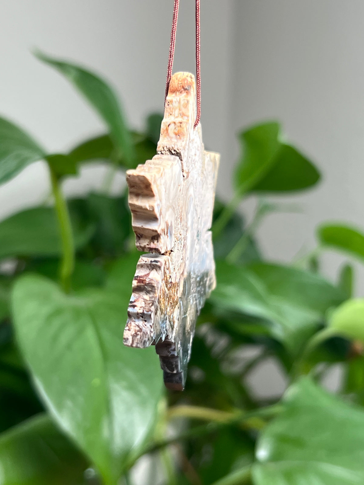 Palm Root Ornament Snowflake: PB