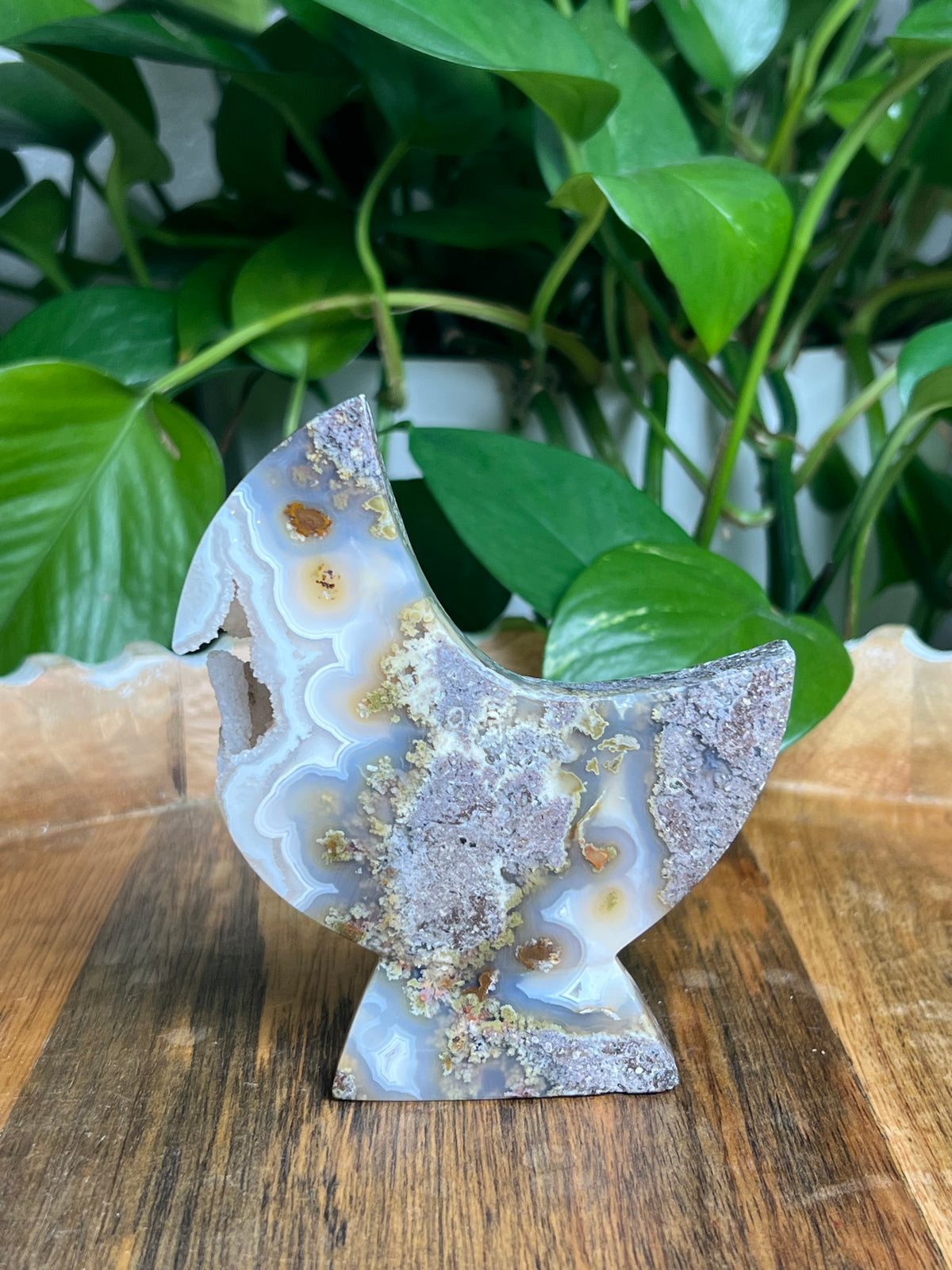 Scenic Moss Agate Self-Standing Moon: PS
