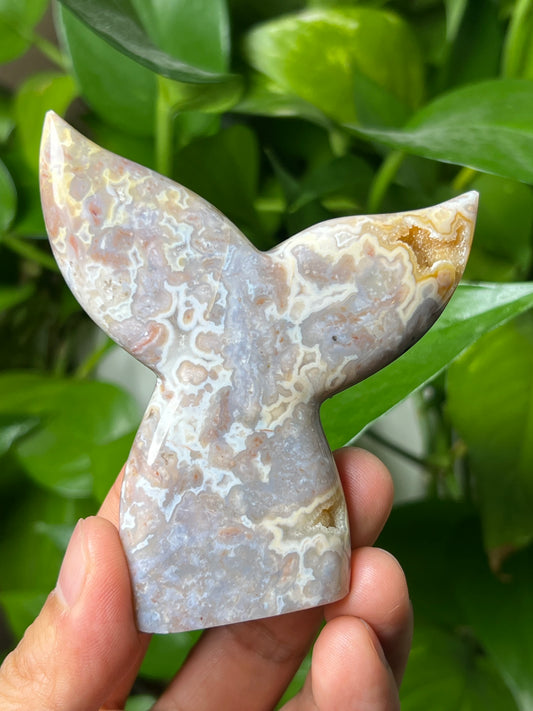 Sumatra Plume Agate Tail