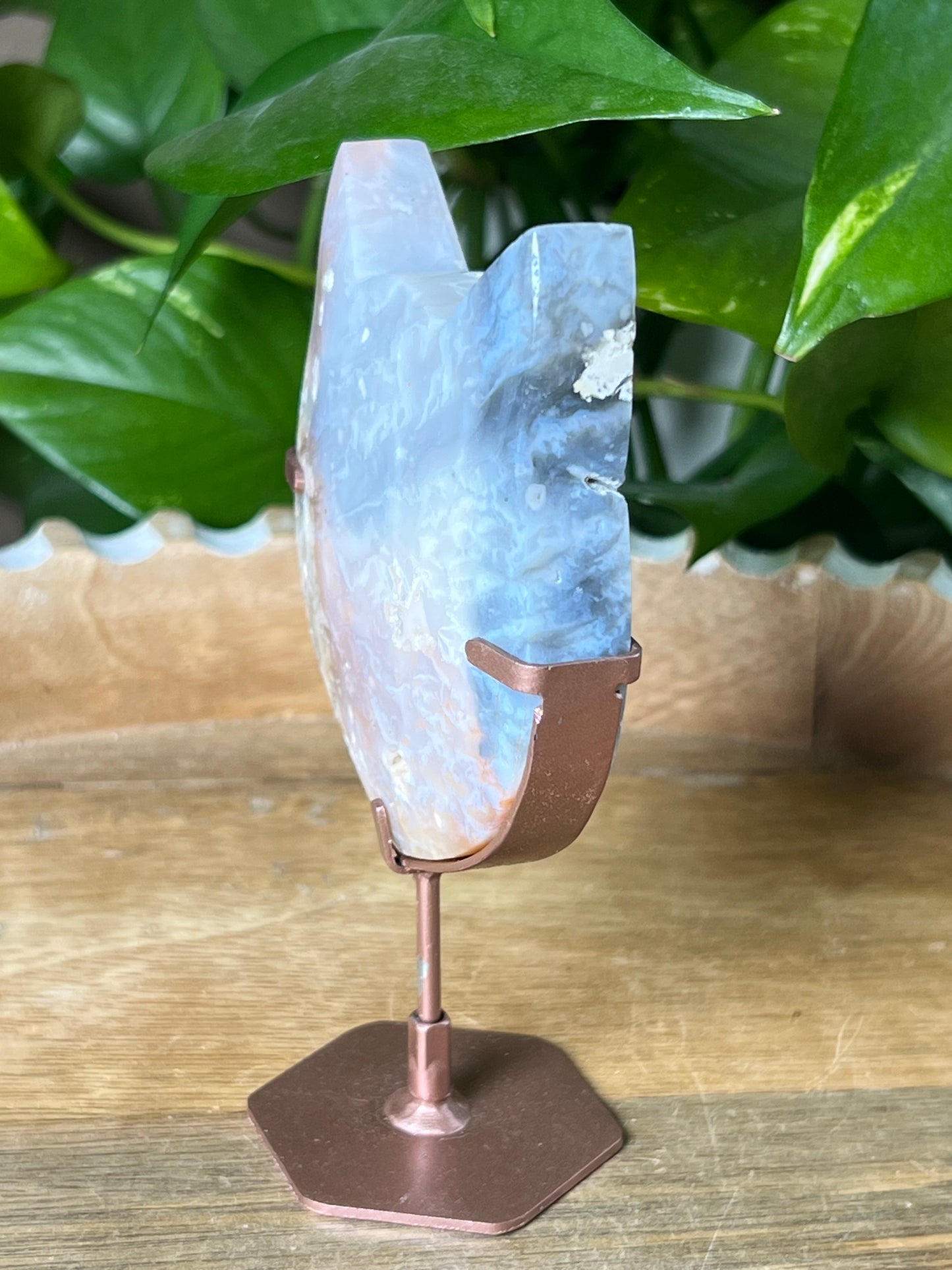 Rainbow Plume Agate Cat Head