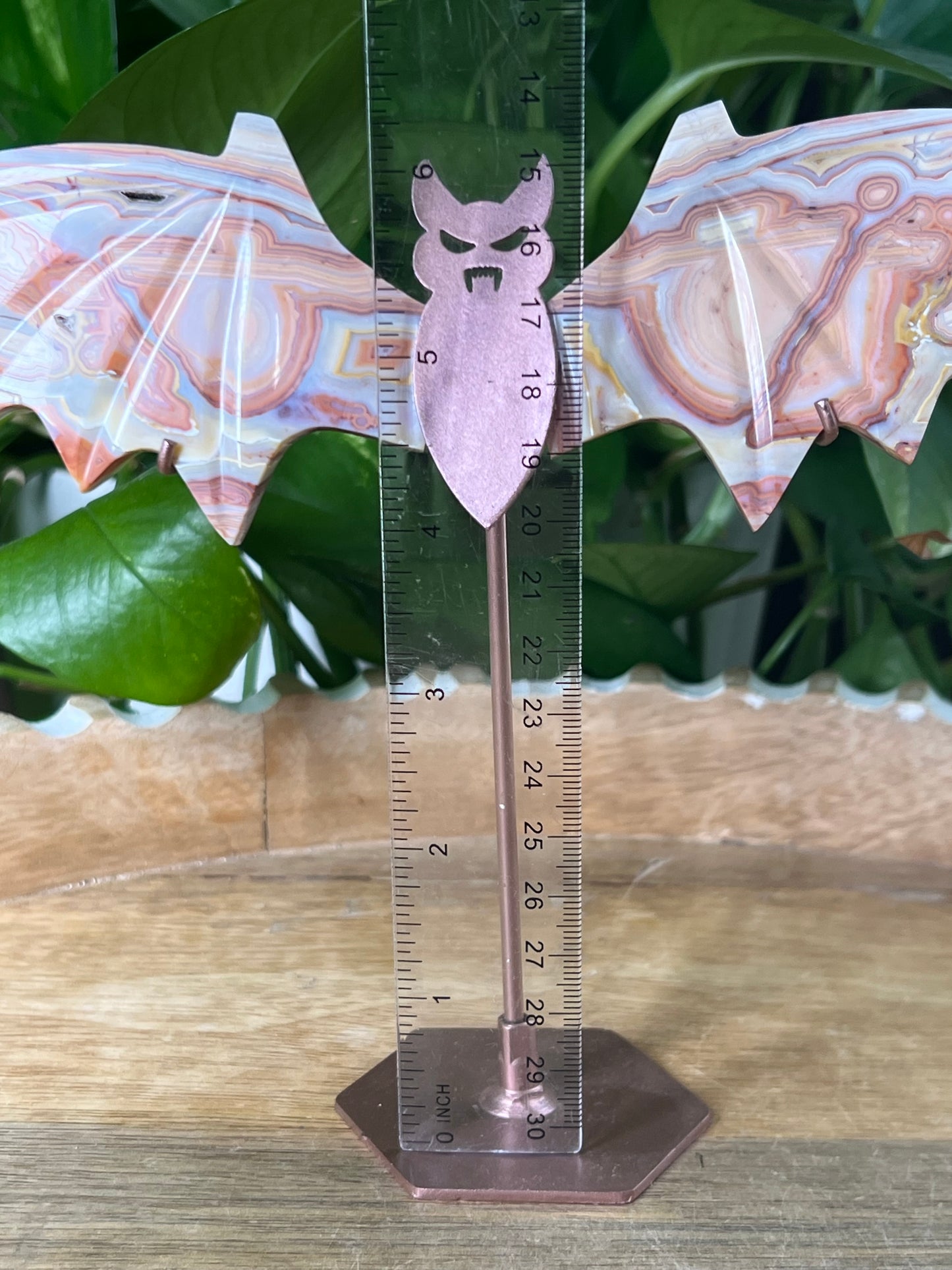 Crazy Lace Agate Bat Wings