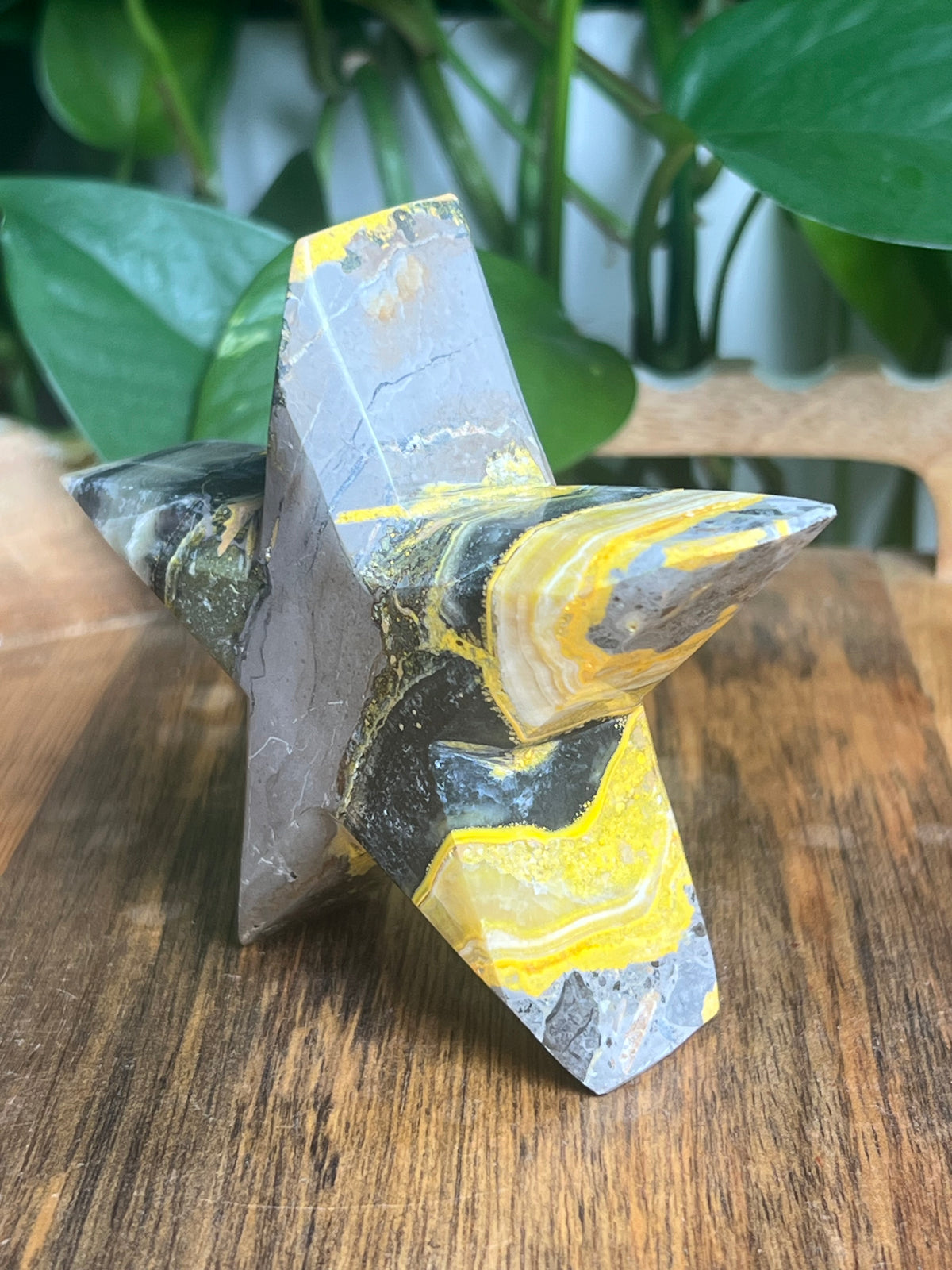 Bumblebee Jasper Star: D