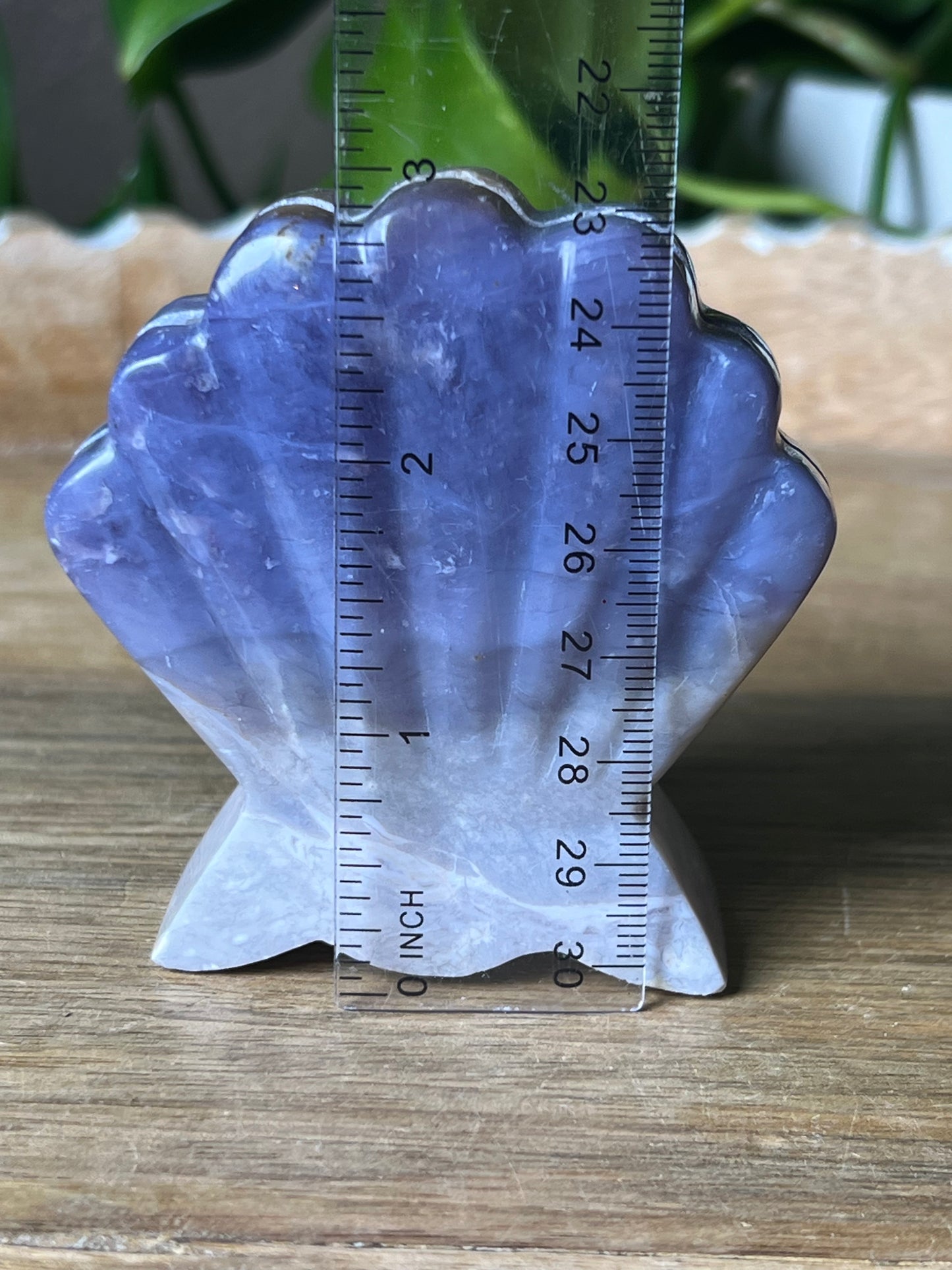 Purple Chalcedony Shell