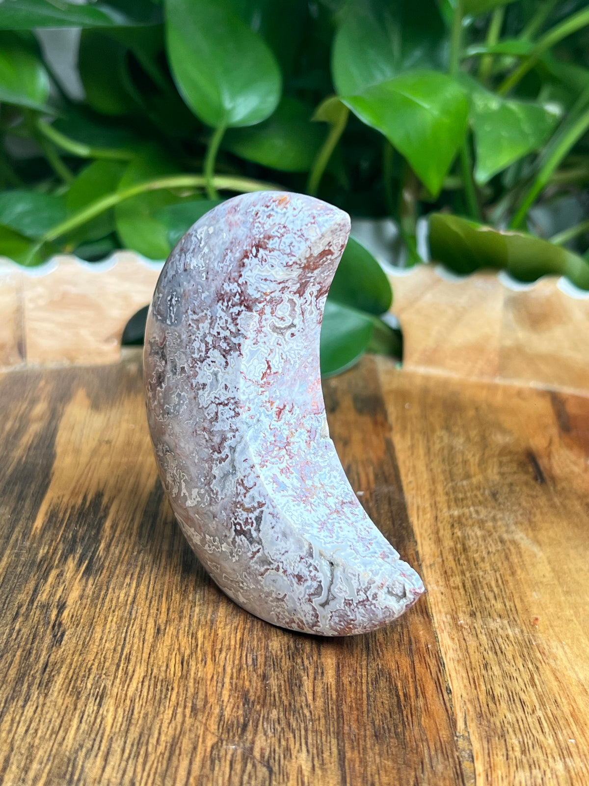 Sumatra Plume Agate Self-Standing Moon: SA