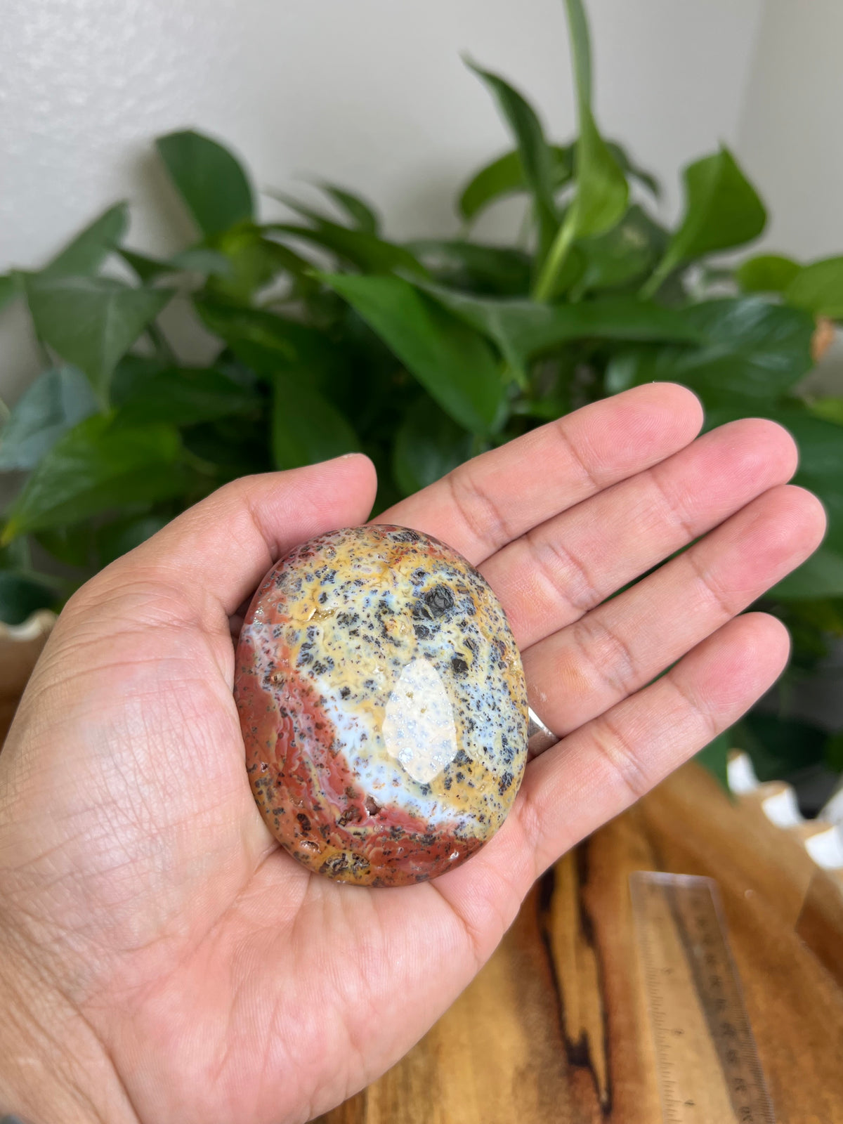 Marcasite Palmstone: MS