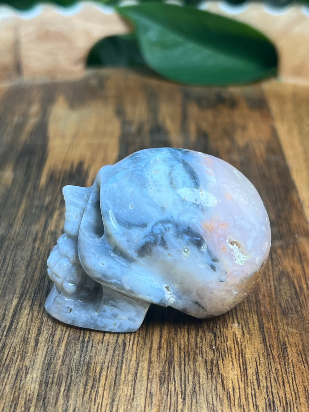 Rainbow Plume Agate Mini Skull: DA